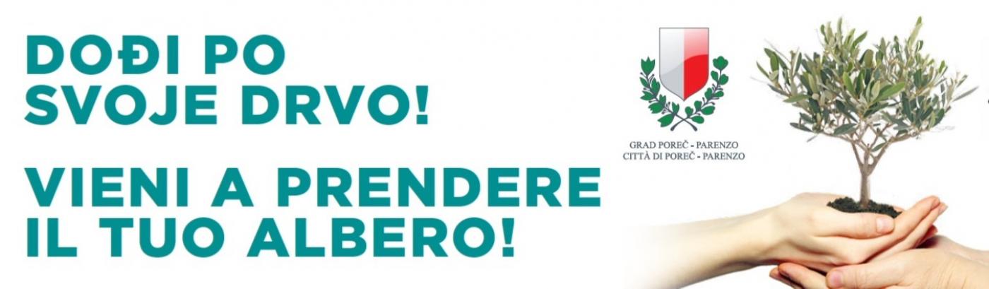 Grad Poreč ponovno dijeli besplatne sadnice građanima – „Dođi po svoje drvo!“ 5. studenog