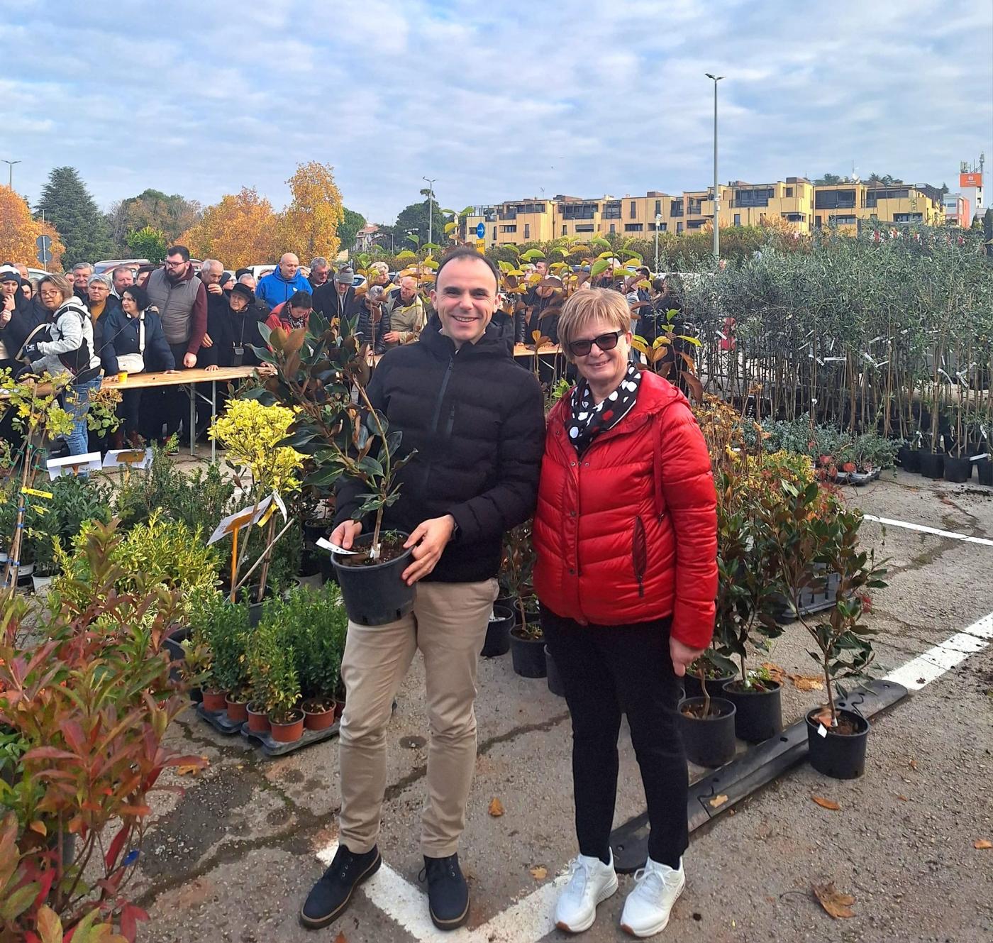 Grad Poreč ponovno dijeli besplatne sadnice građanima – „Dođi po svoje drvo!“ 5. studenog