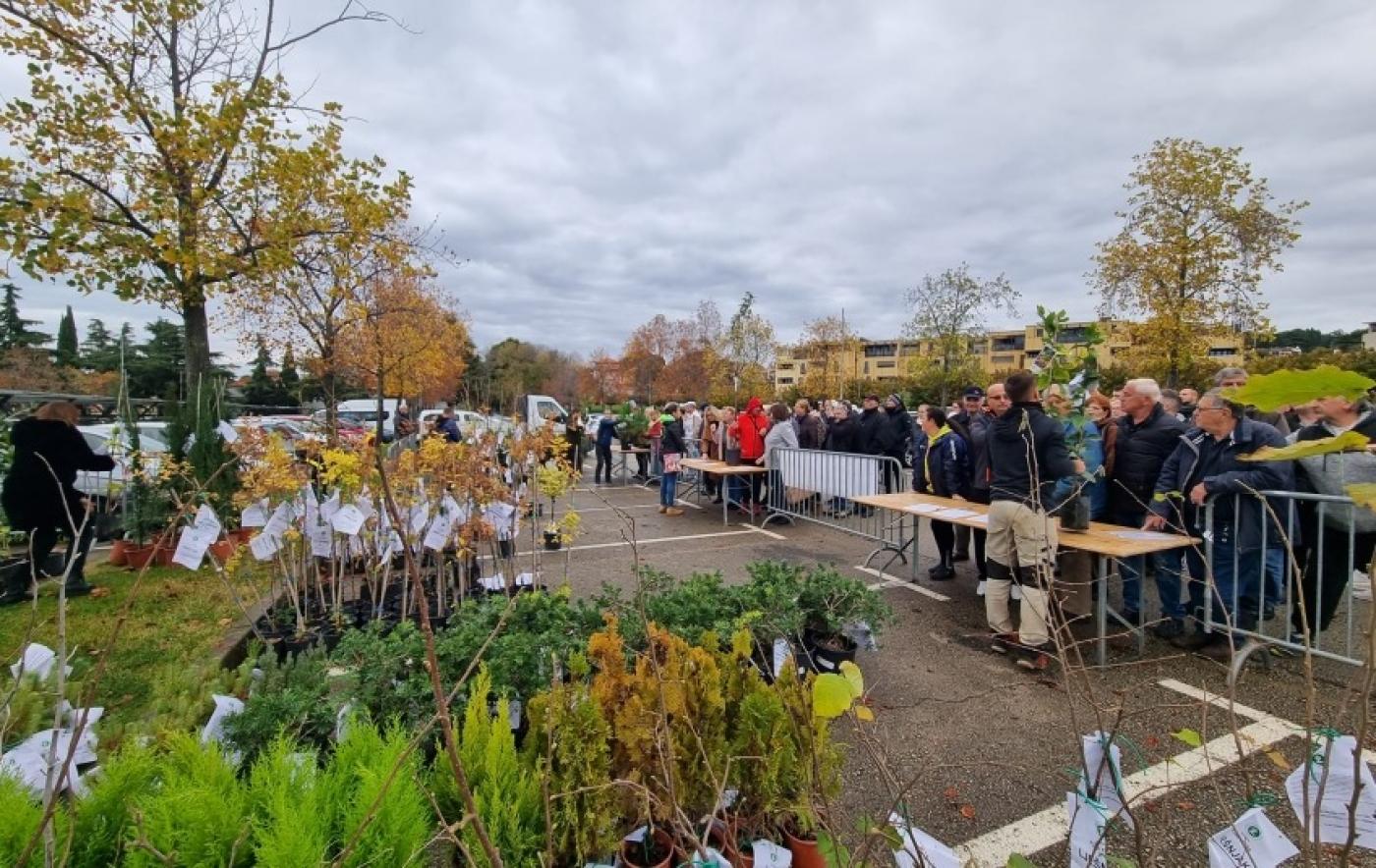 Grad Poreč ponovno dijeli besplatne sadnice građanima – „Dođi po svoje drvo!“ 5. studenog