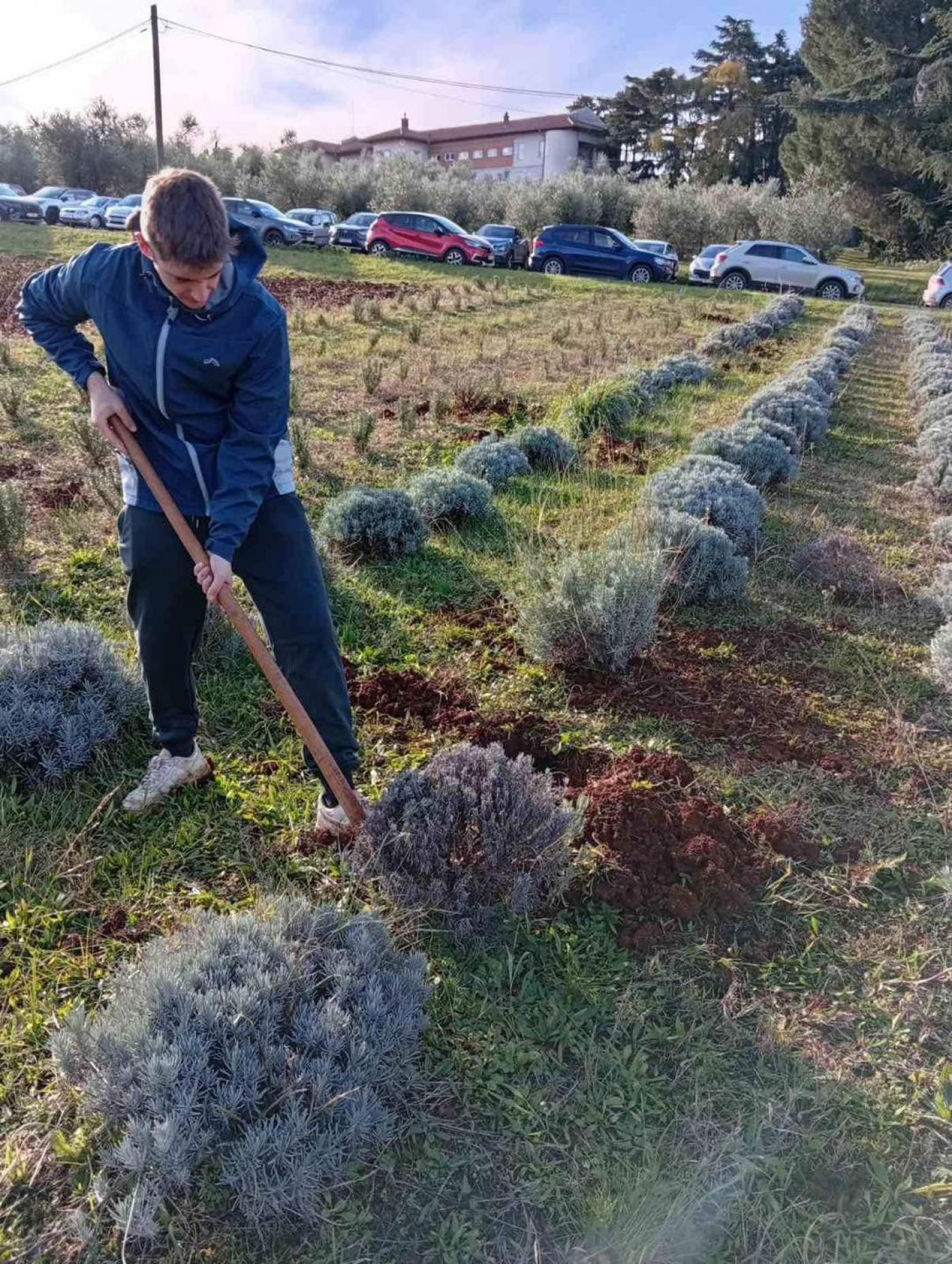 SŠ M. BALOTE: Zelena čistka za još ljepši pogled i vedrije prirodno  okruženje