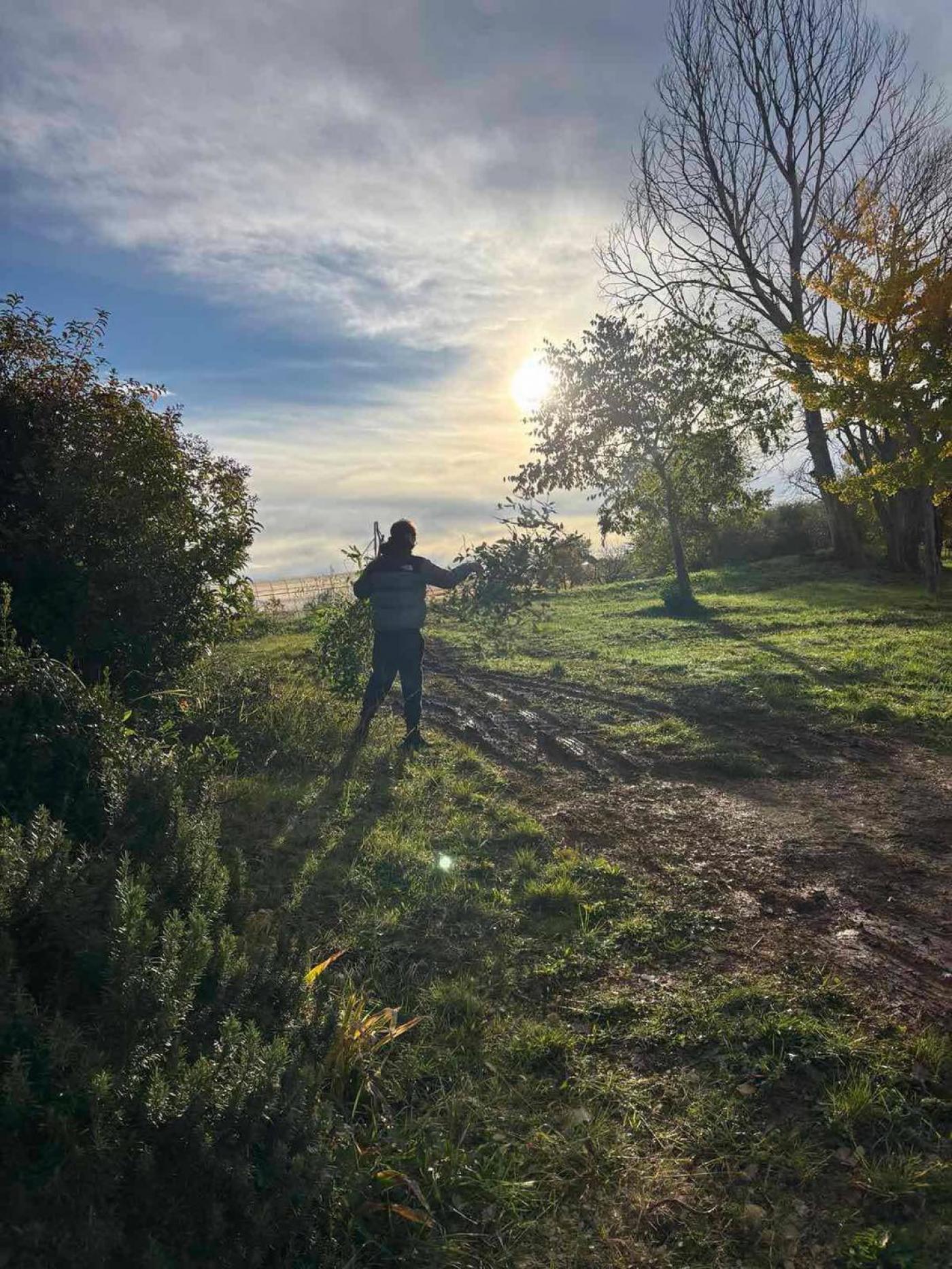 SŠ M. BALOTE: Zelena čistka za još ljepši pogled i vedrije prirodno  okruženje