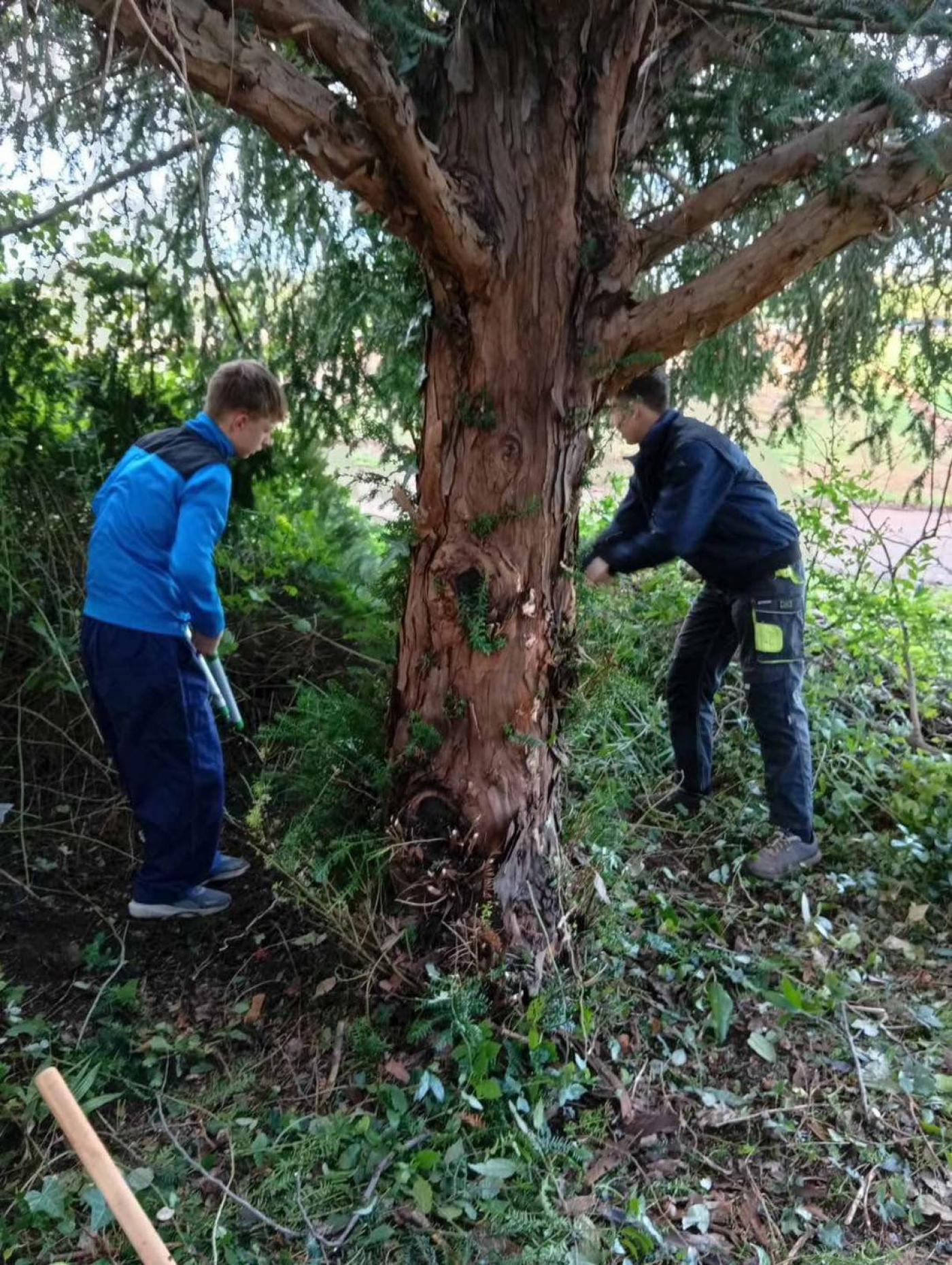 SŠ M. BALOTE: Zelena čistka za još ljepši pogled i vedrije prirodno  okruženje