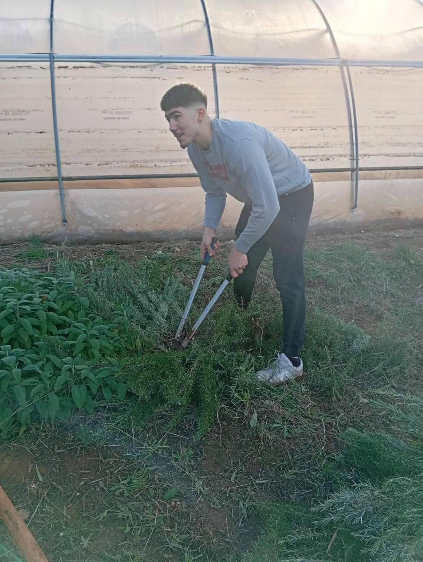 SŠ M. BALOTE: Zelena čistka za još ljepši pogled i vedrije prirodno  okruženje