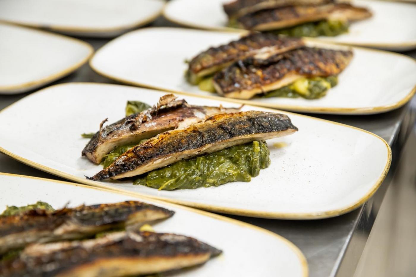 Cabernet Sauvignon & plava riba, s ljubavlju Održana četvrta večera ciklusa u restoranu Bookon u Funtani