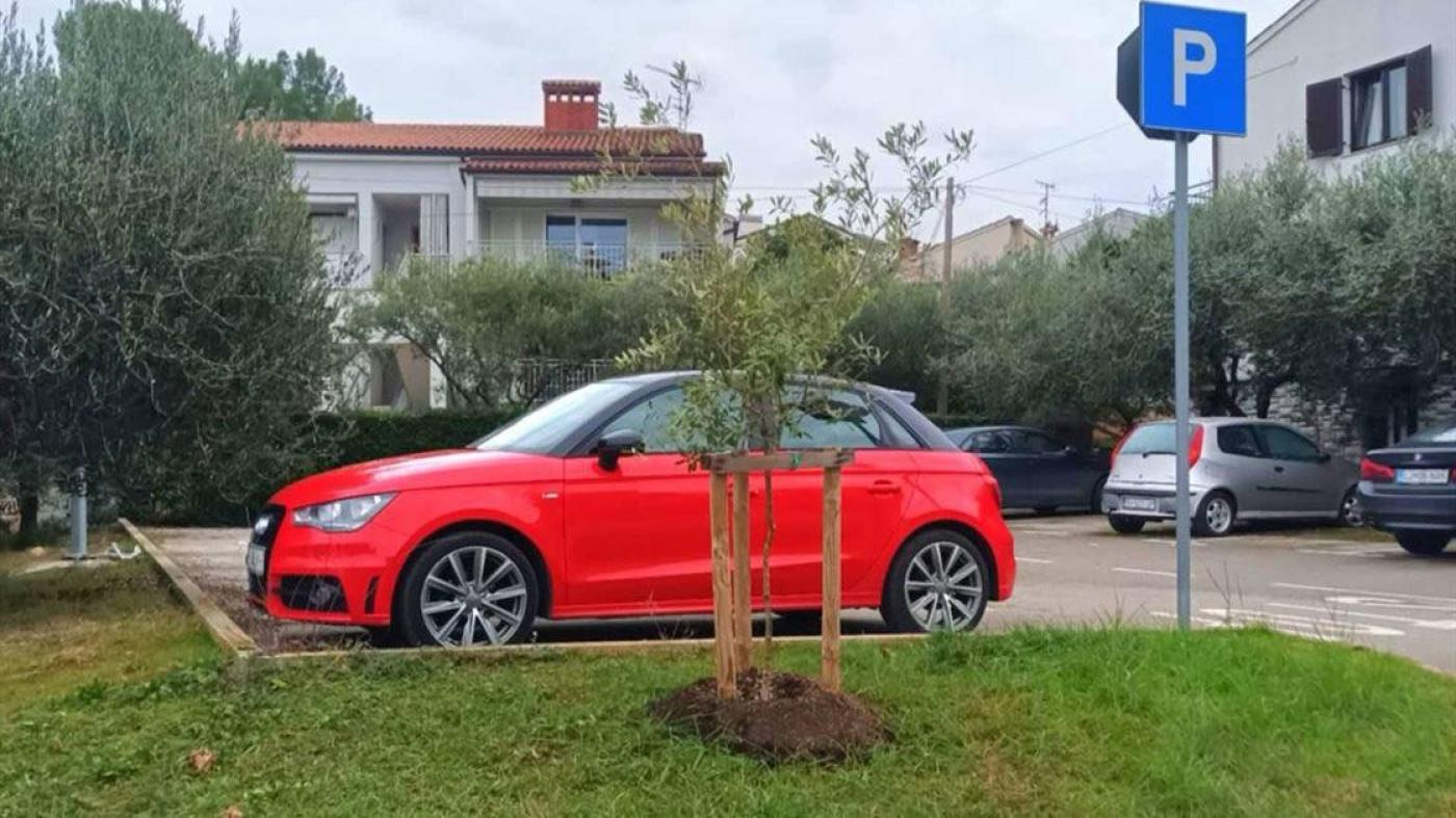 Više od 800 novih sadnica za još zeleniji Poreč – stižu kesteni, čempresi, masline, magnolije…