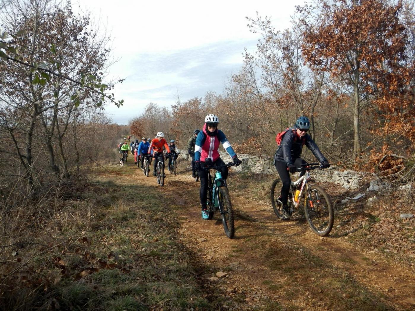 Proslava Dana sv. Blaža – „Blažova“ u Svetom Lovreču