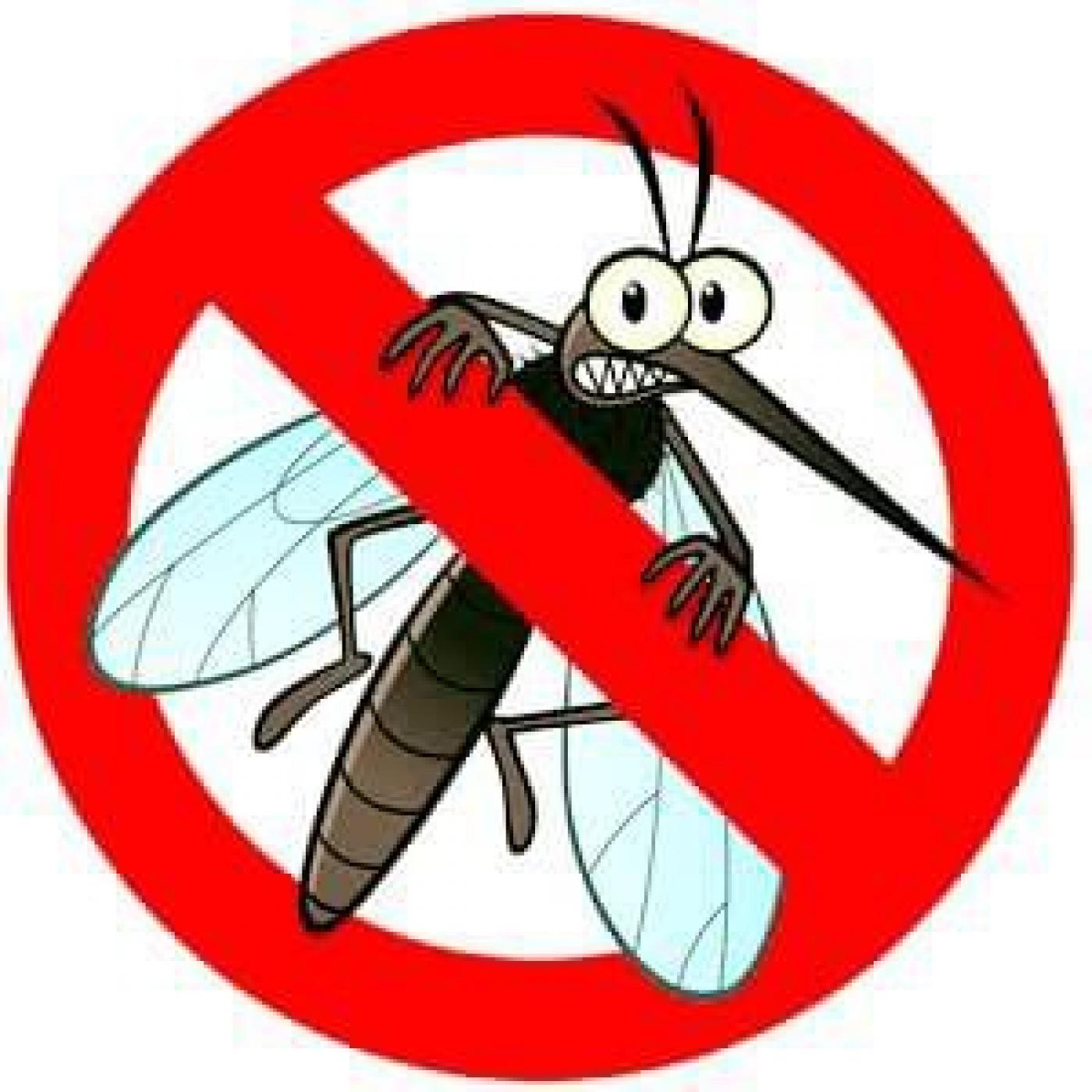 Obavijest o adulticidnoj dezinsekciji komaraca na području grada Poreča
