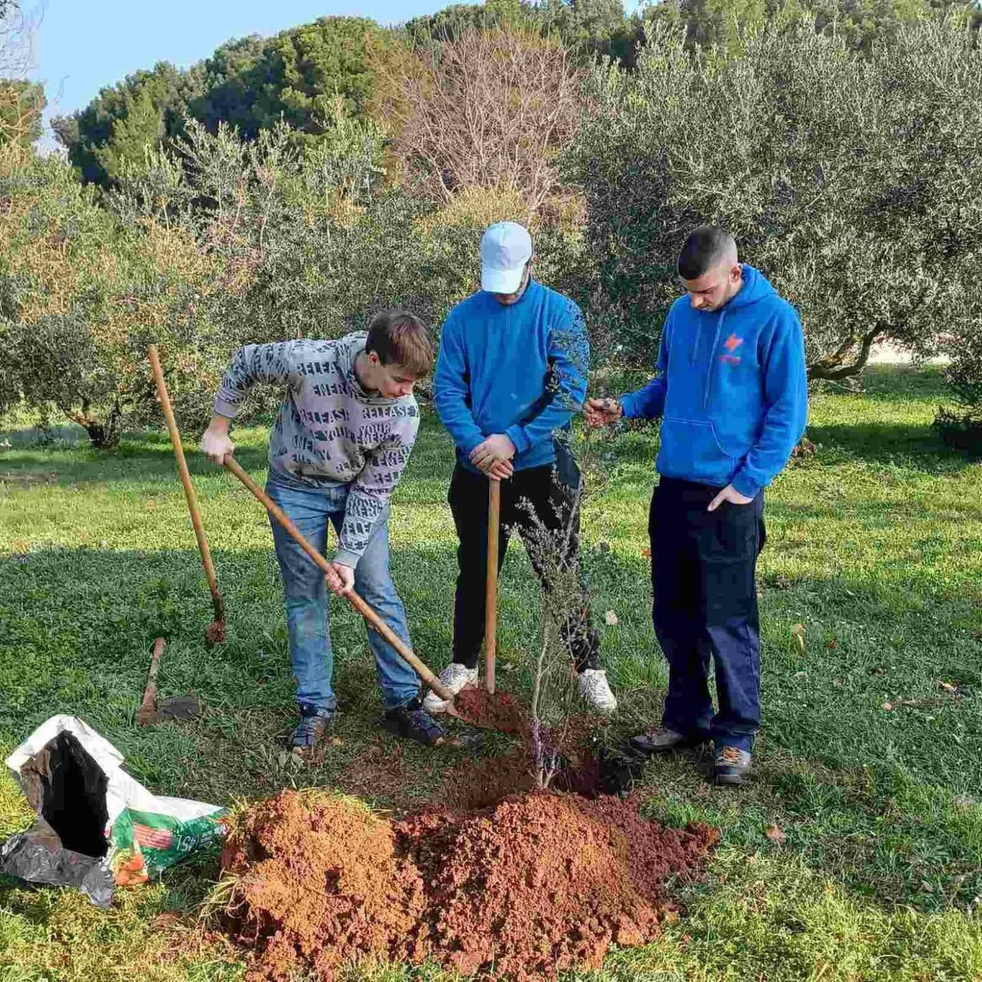 Održana još jedna velika zelena čistka u Baloti