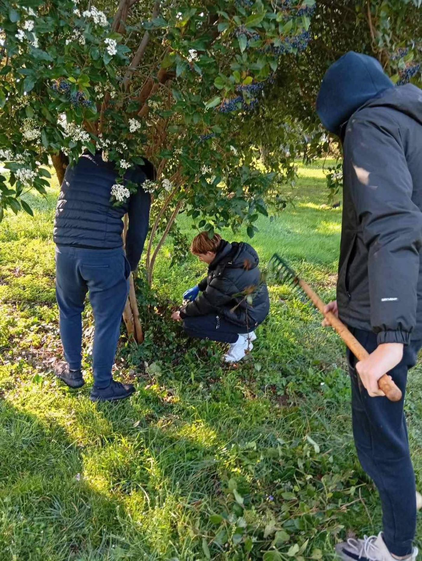 Održana još jedna velika zelena čistka u Baloti