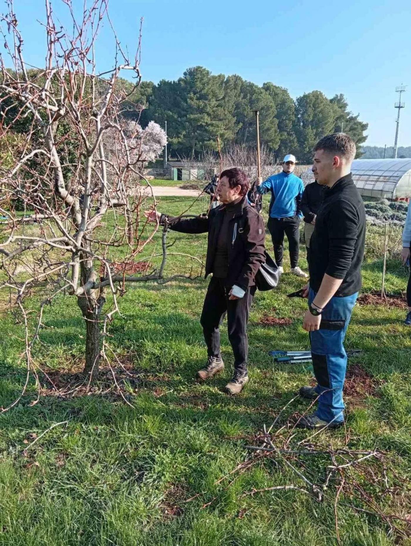 Održana još jedna velika zelena čistka u Baloti