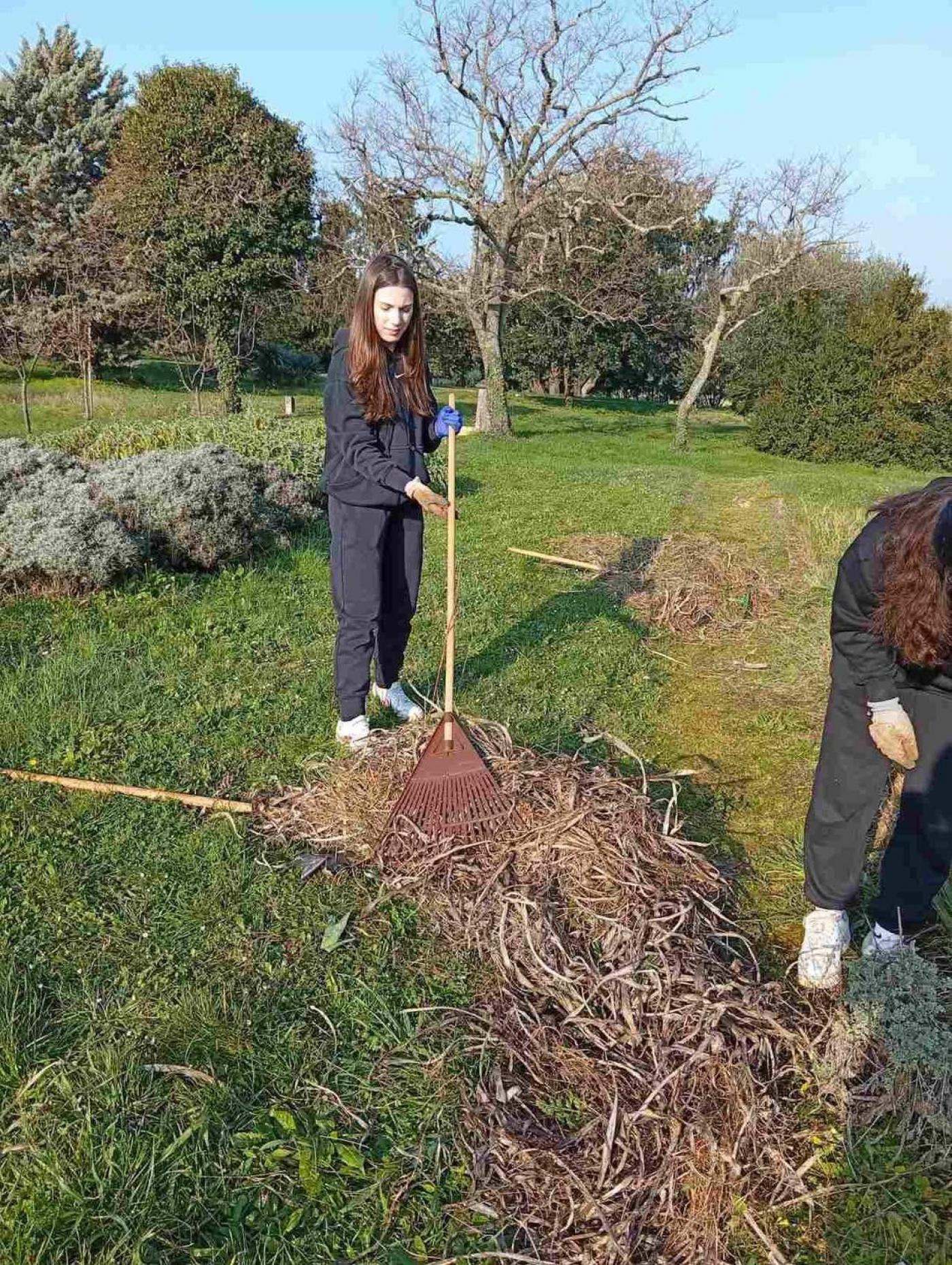 Održana još jedna velika zelena čistka u Baloti