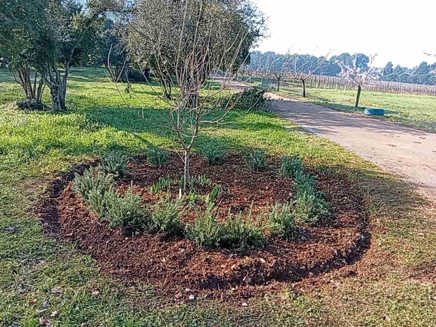 Održana još jedna velika zelena čistka u Baloti