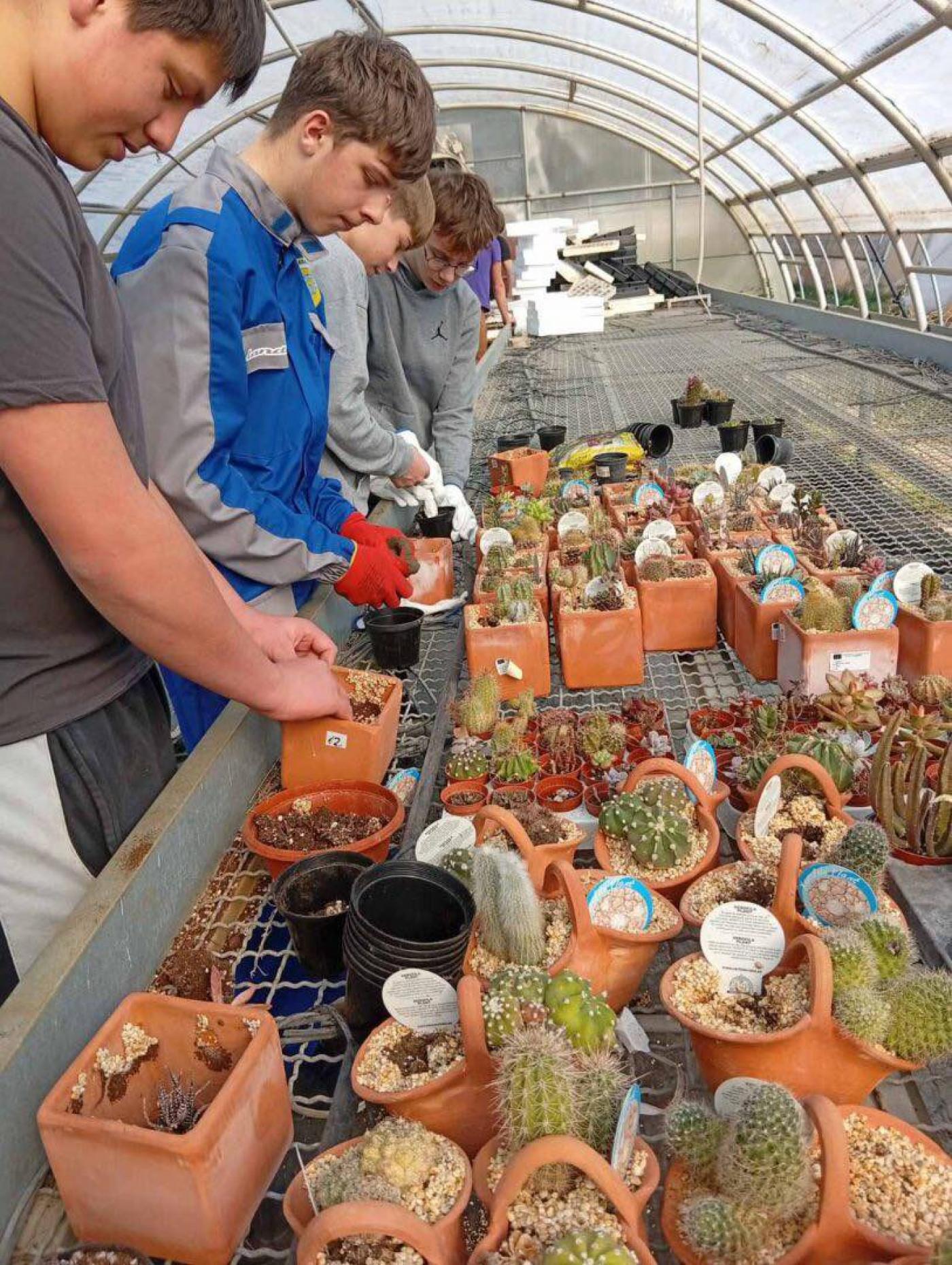 SŠ M. BALOTE: Od donacije do poduzetničke priče – zajedništvo koje cvjeta