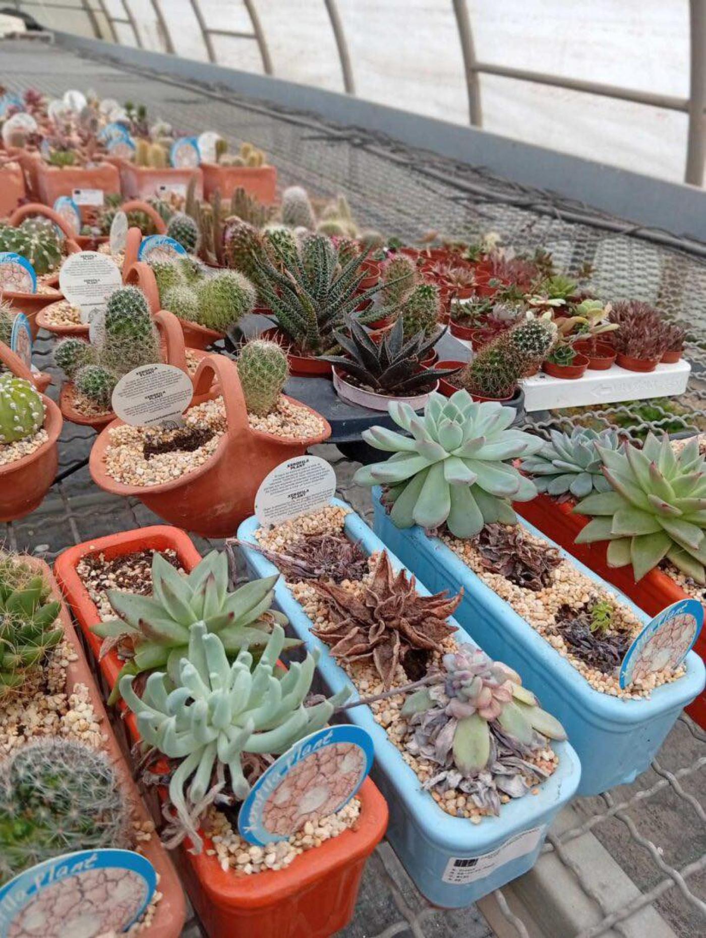 SŠ M. BALOTE: Od donacije do poduzetničke priče – zajedništvo koje cvjeta