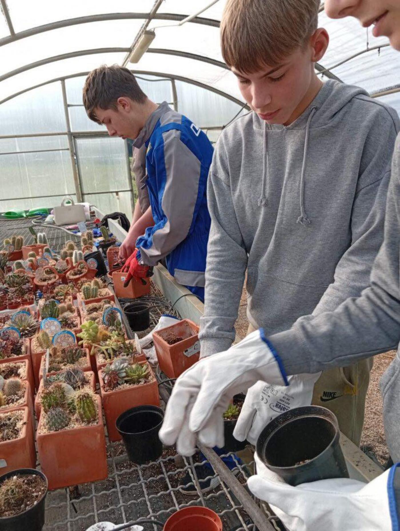 SŠ M. BALOTE: Od donacije do poduzetničke priče – zajedništvo koje cvjeta