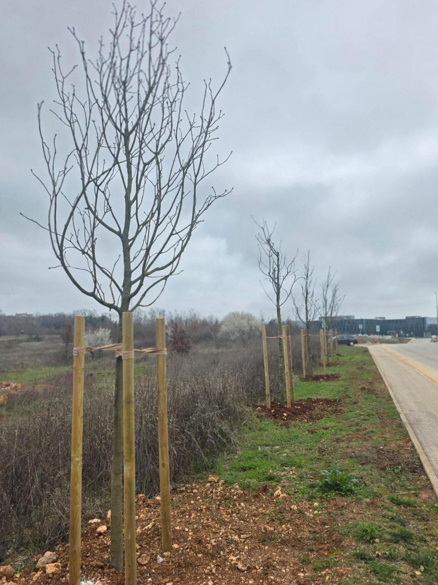 Nove stablašice uz prometnice u zoni Facinka