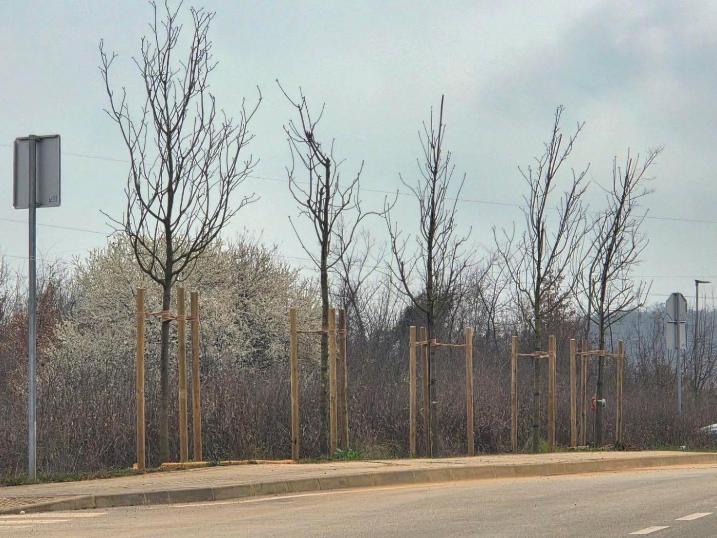 Nove stablašice uz prometnice u zoni Facinka