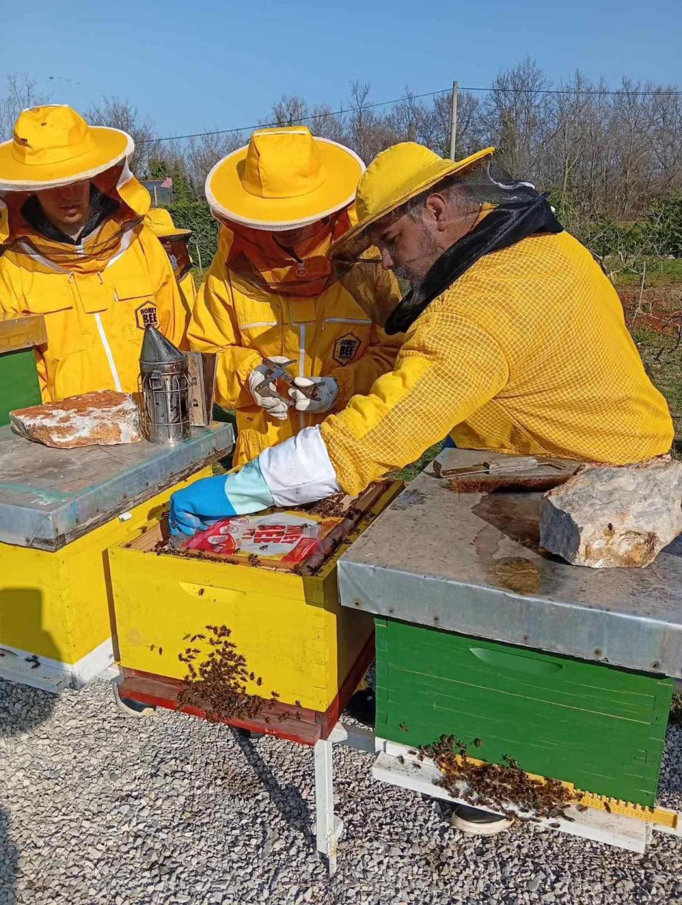 SŠ M. BALOTE: Učenje na terenu – dan među pčelama i u rasadniku