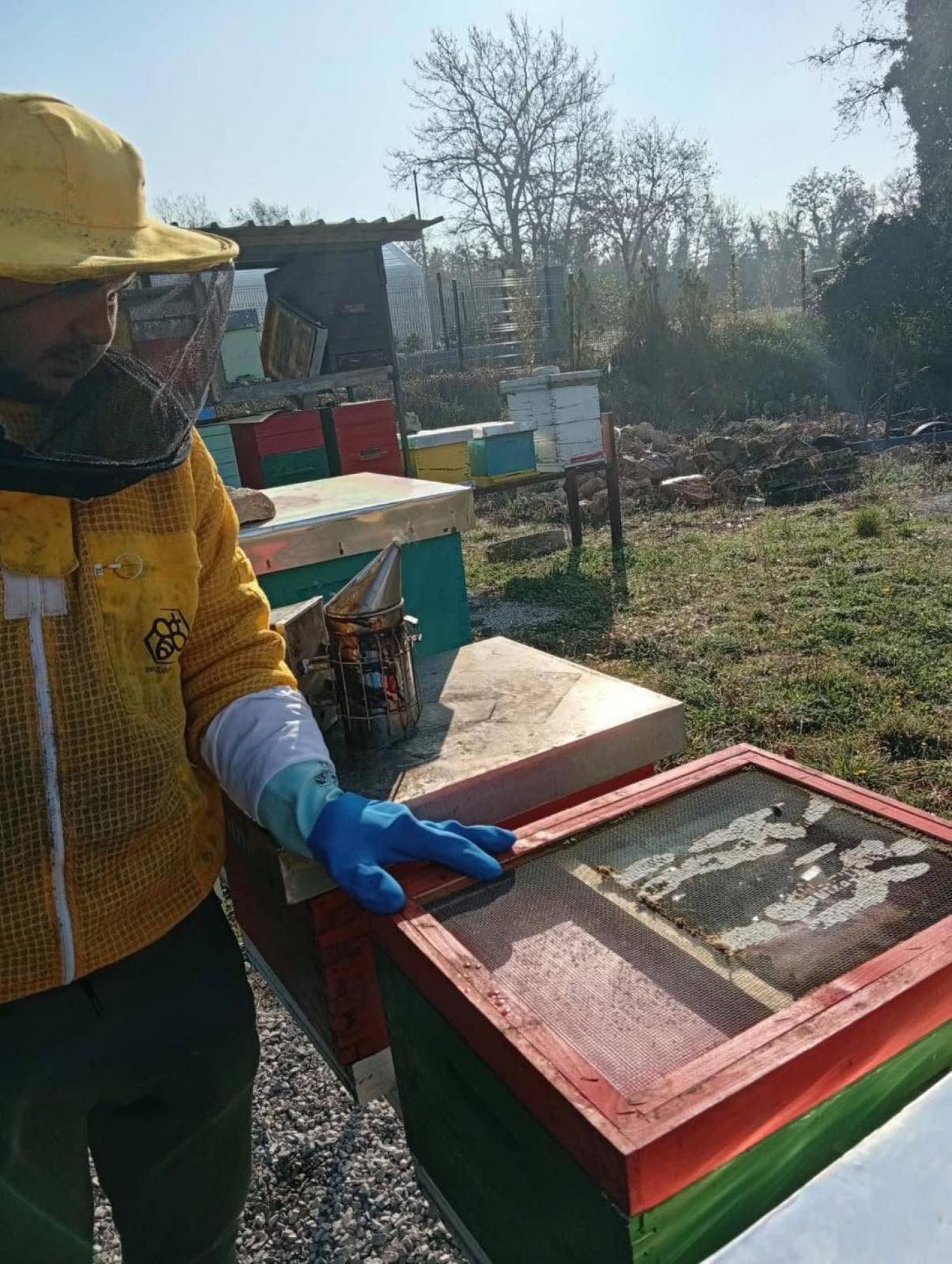 SŠ M. BALOTE: Učenje na terenu – dan među pčelama i u rasadniku