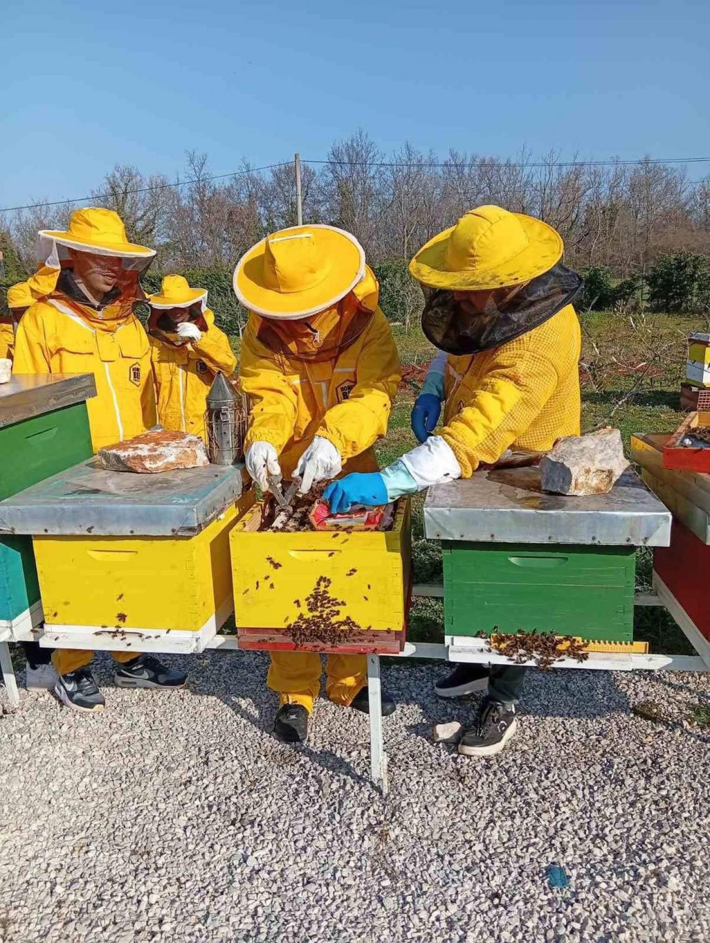 SŠ M. BALOTE: Učenje na terenu – dan među pčelama i u rasadniku