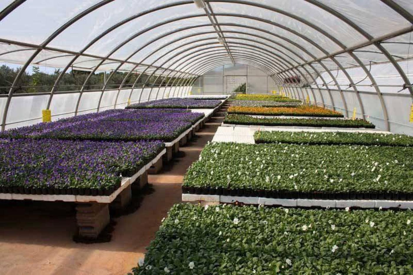 SŠ M. BALOTE: Učenje na terenu – dan među pčelama i u rasadniku