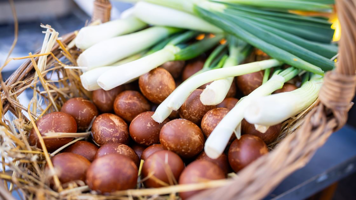 Poreč proslavio Uskrs, u gradu dnevno uživa 10.000 gostiju