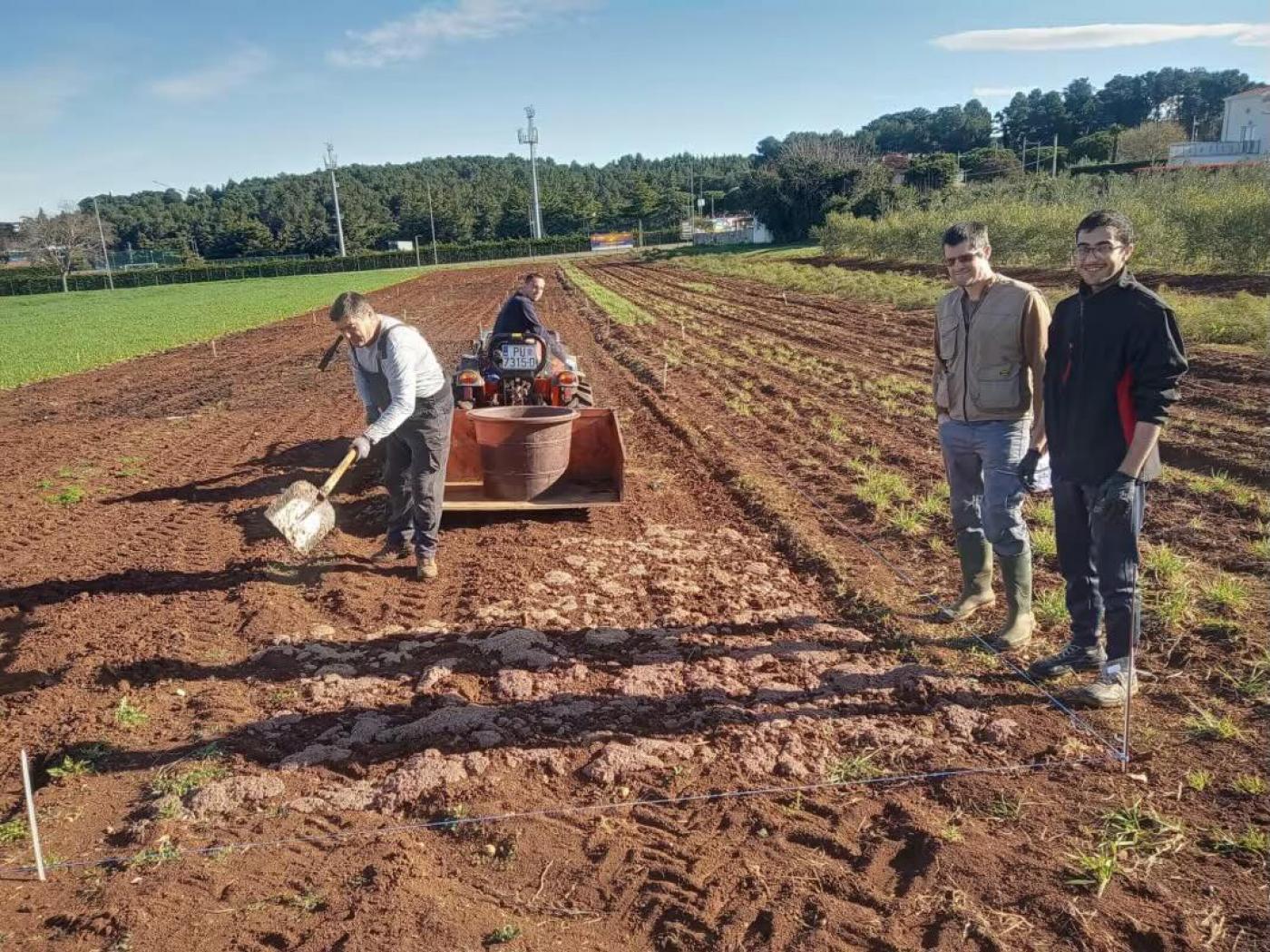Institut za poljoprivredu i turizam Poreč:  Znanstveni razgovori - Istražuje se kompostiranje i utjecaj na usjeve nakon novih zakonskih promjena