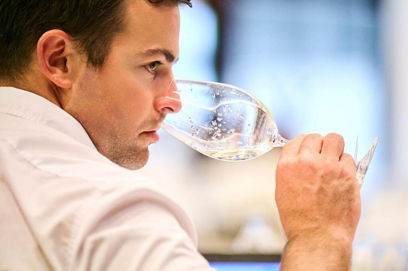 Uoči 32. Vinistre rekordan Svijet malvazija u Poreču