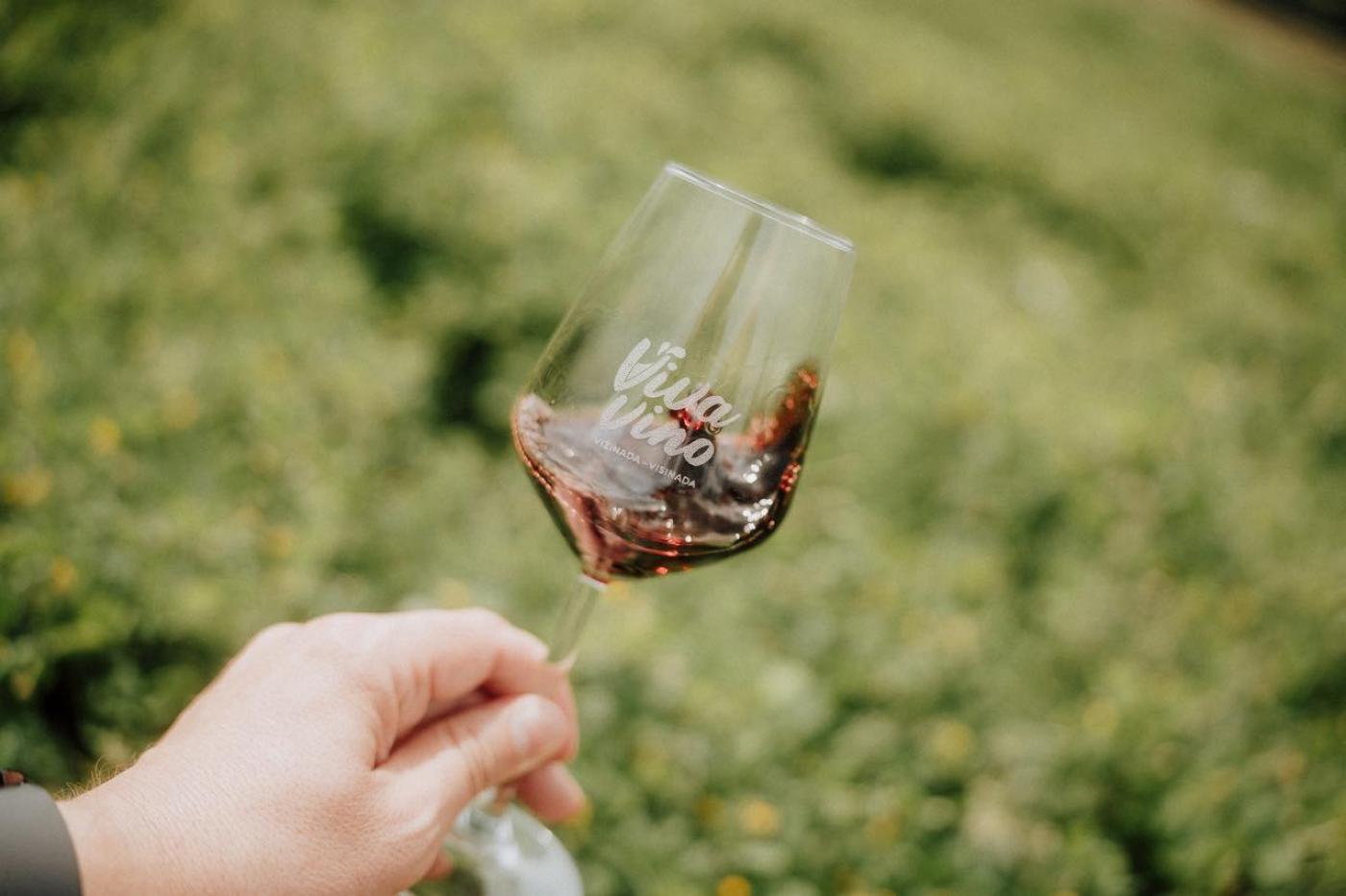 Viva Vino 2026: Eno-gastro šetnja kroz srce vinograda Vižinade