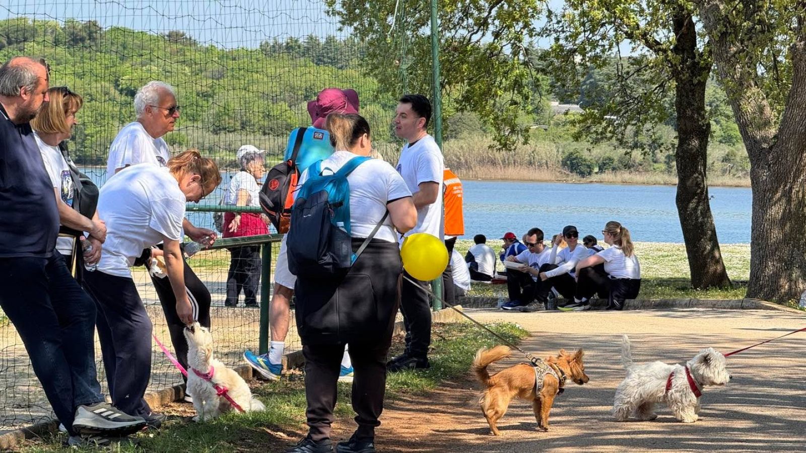 Hoditi i zdravi biti 2026. 