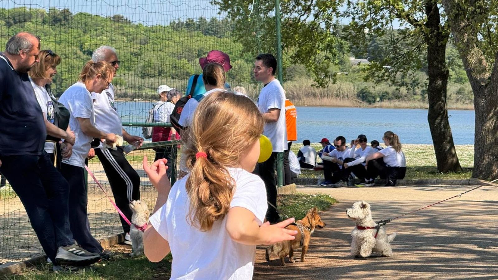 Hoditi i zdravi biti 2026. 