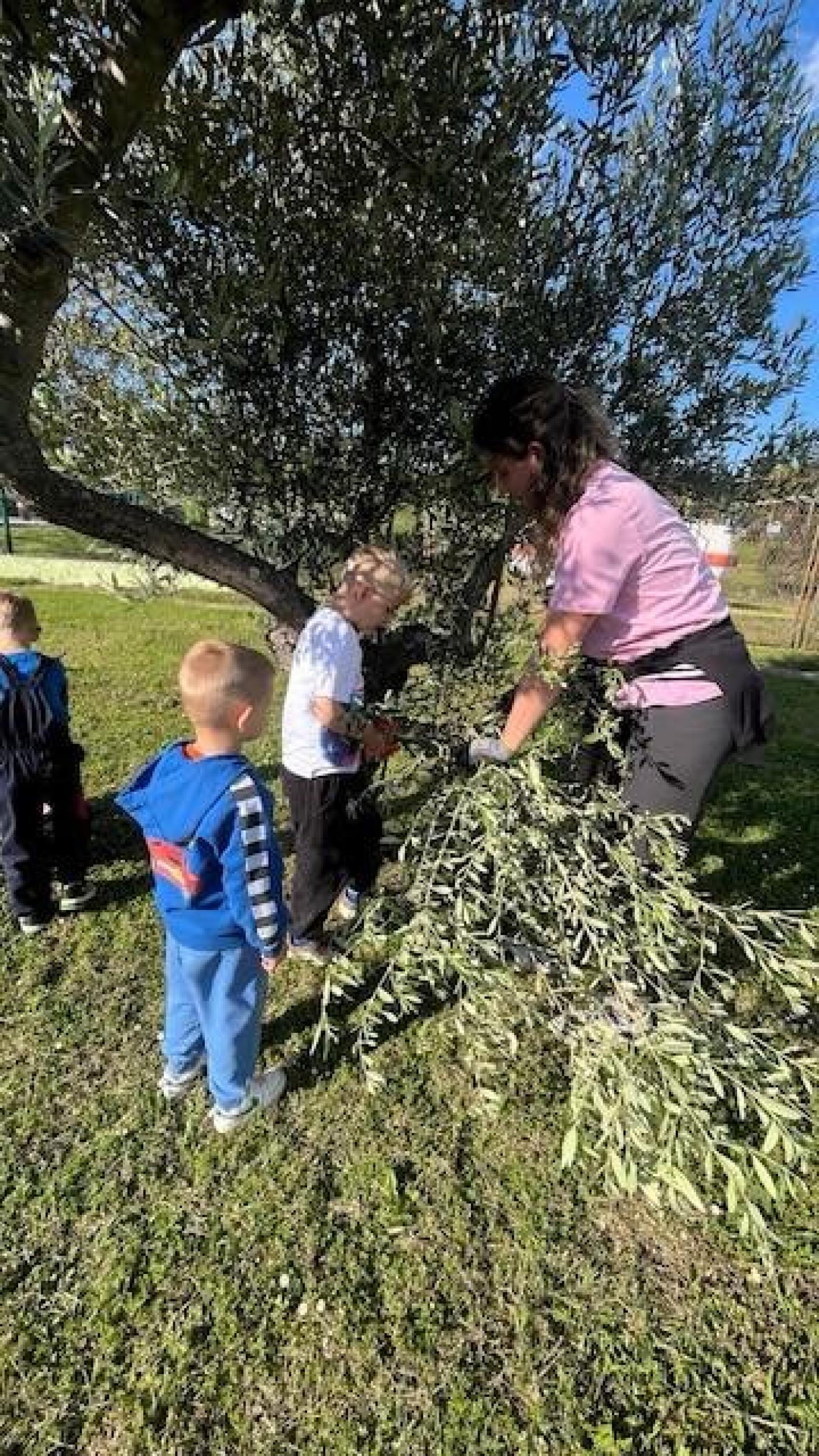 Djeca DV Tići iz Vrsara i Funtane obilježila Dan planeta Zemlje eko akcijom