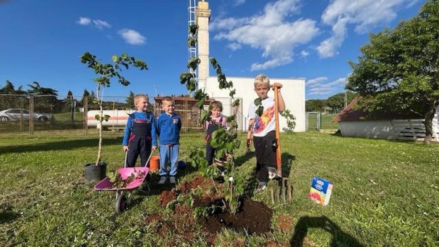 Djeca DV Tići iz Vrsara i Funtane obilježila Dan planeta Zemlje eko akcijom