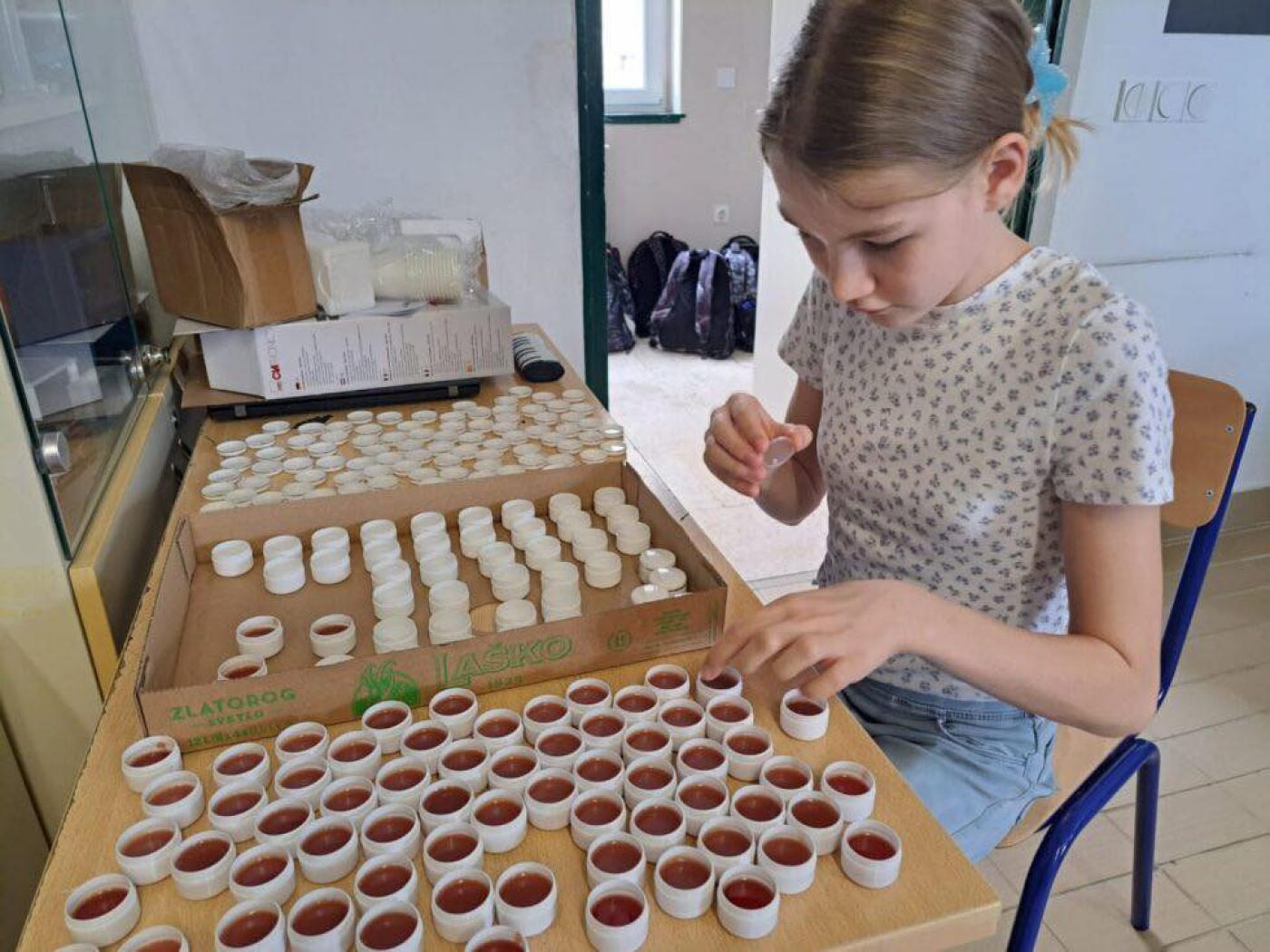 OŠ J. RAKOVCA SV. LOVREČ: Projektni dan: Ljekovito i samoniklo bilje