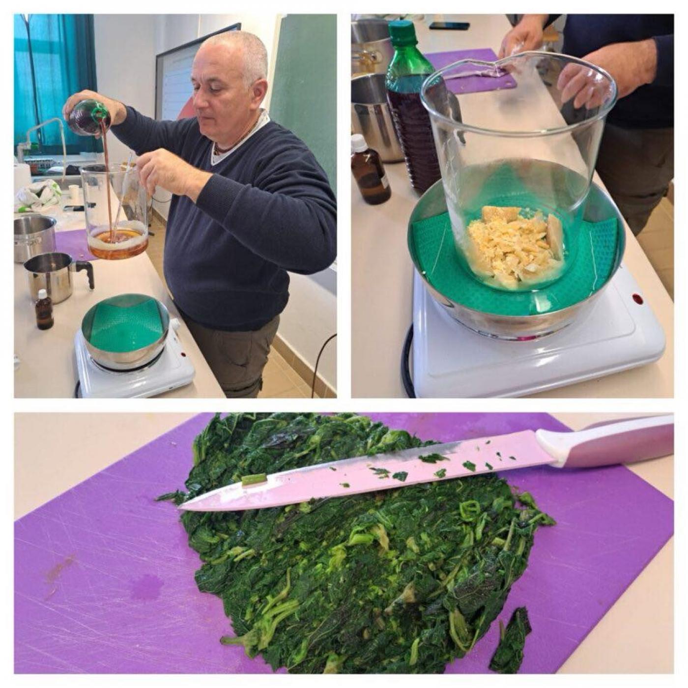 OŠ J. RAKOVCA SV. LOVREČ: Projektni dan: Ljekovito i samoniklo bilje