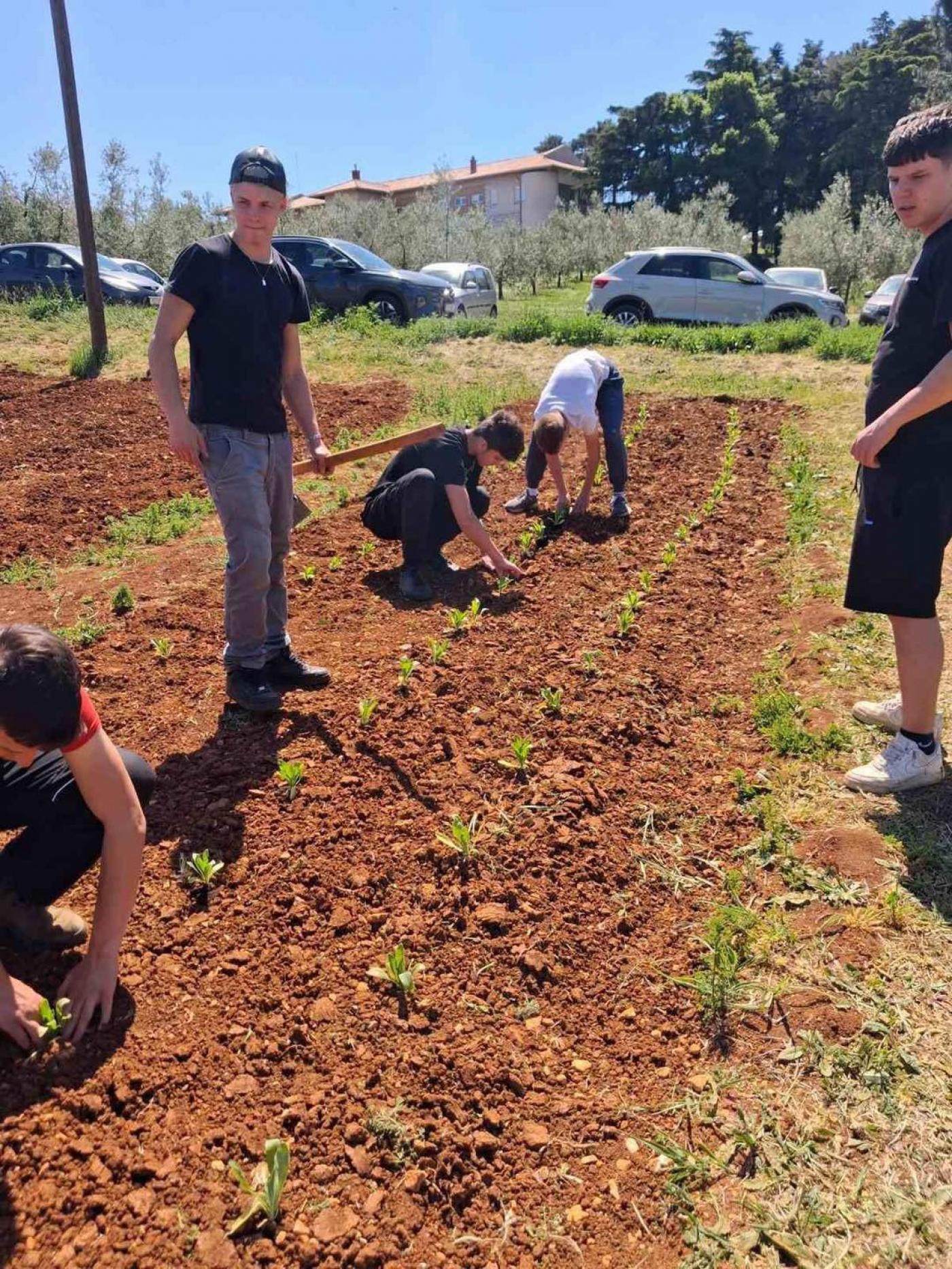 SŠ M. Balote: Od sjemenke do proizvoda – neven u rukama naših učenika