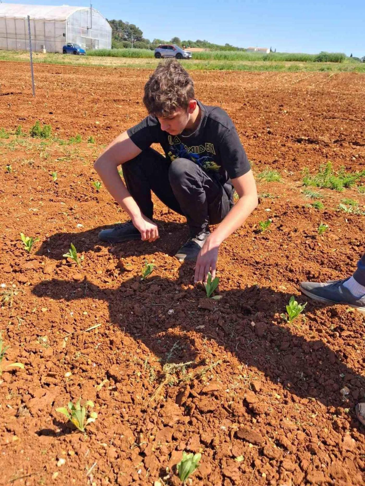 SŠ M. Balote: Od sjemenke do proizvoda – neven u rukama naših učenika