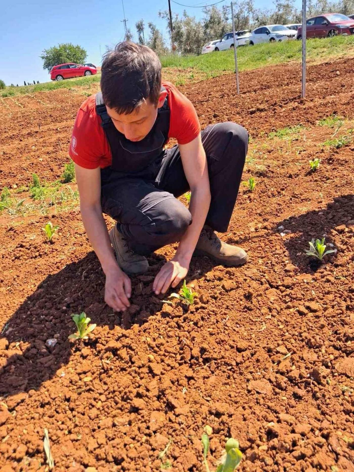 SŠ M. Balote: Od sjemenke do proizvoda – neven u rukama naših učenika