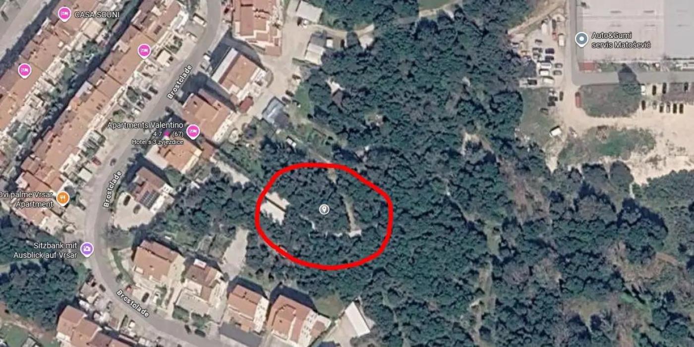 Upozorenje zbog opasnosti od divljih svinja