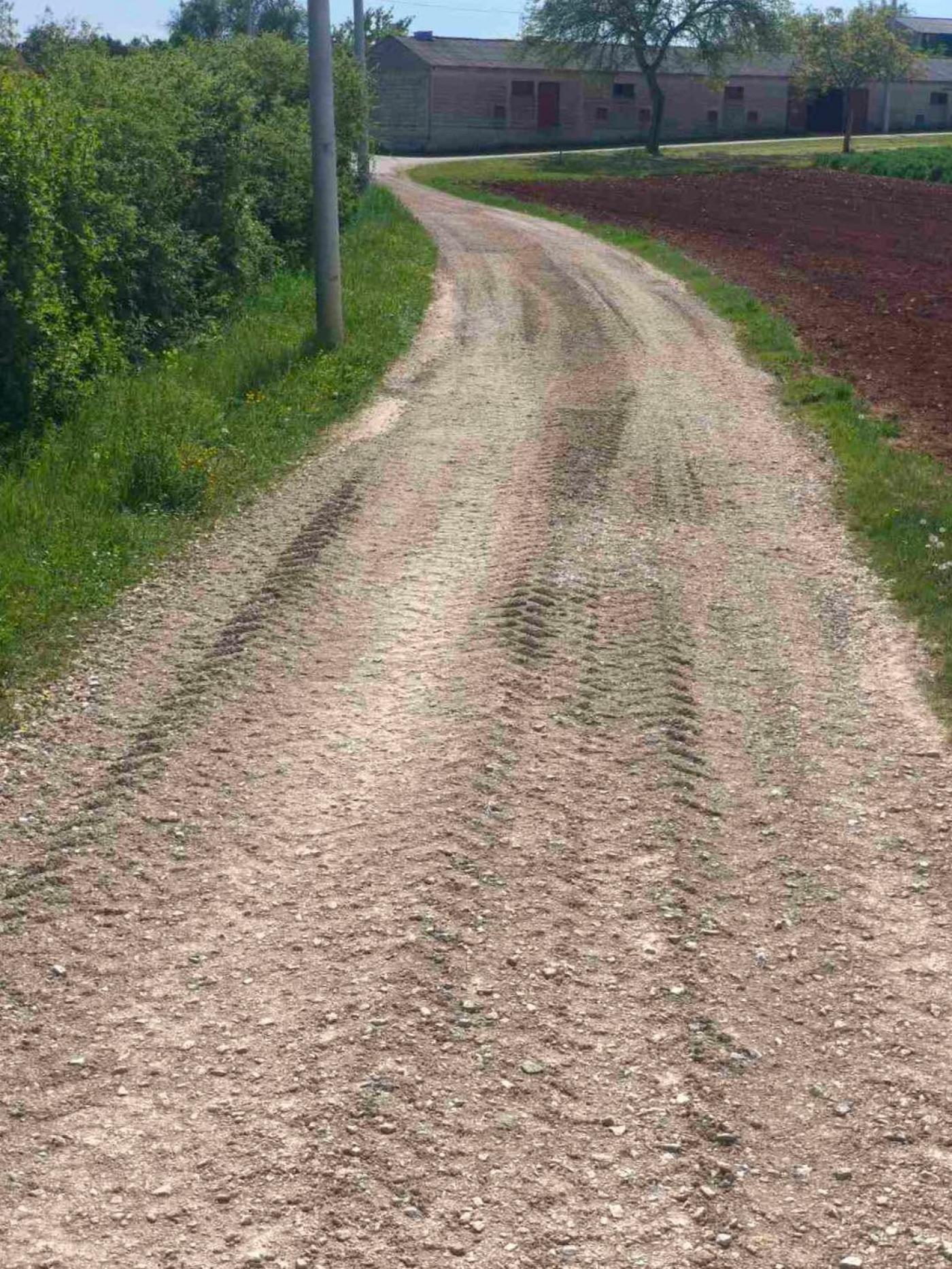 Redovito održavanje i sanacija nerazvrstanih cesta na području porečkih prigradskih naselja