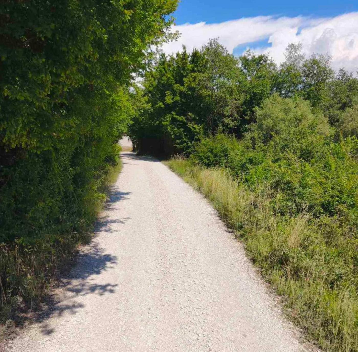 Redovito održavanje i sanacija nerazvrstanih cesta na području porečkih prigradskih naselja
