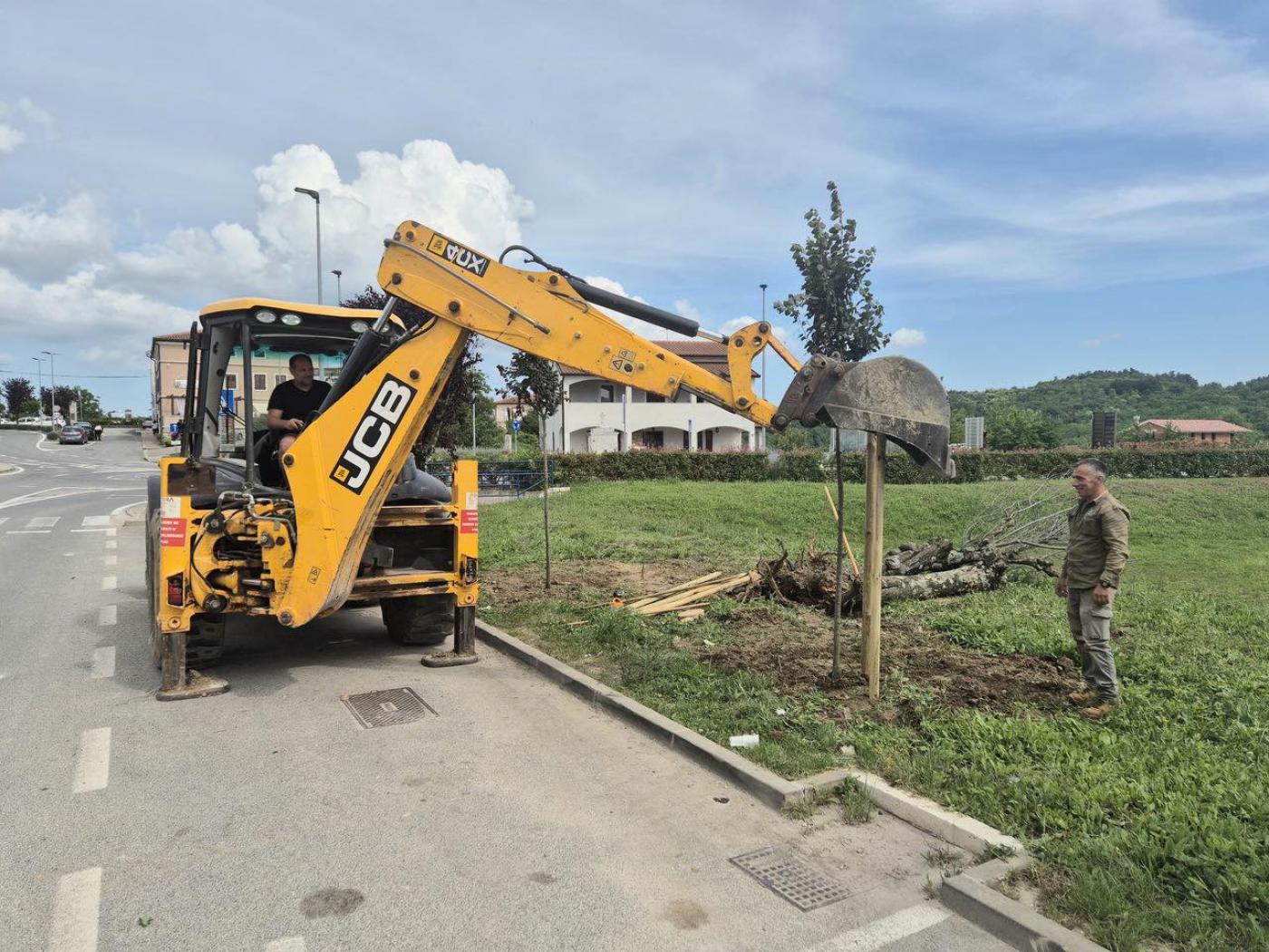 Općina Vižinada nastavlja s projektom ozelenjivanja površina, posađeno osam novih stabala