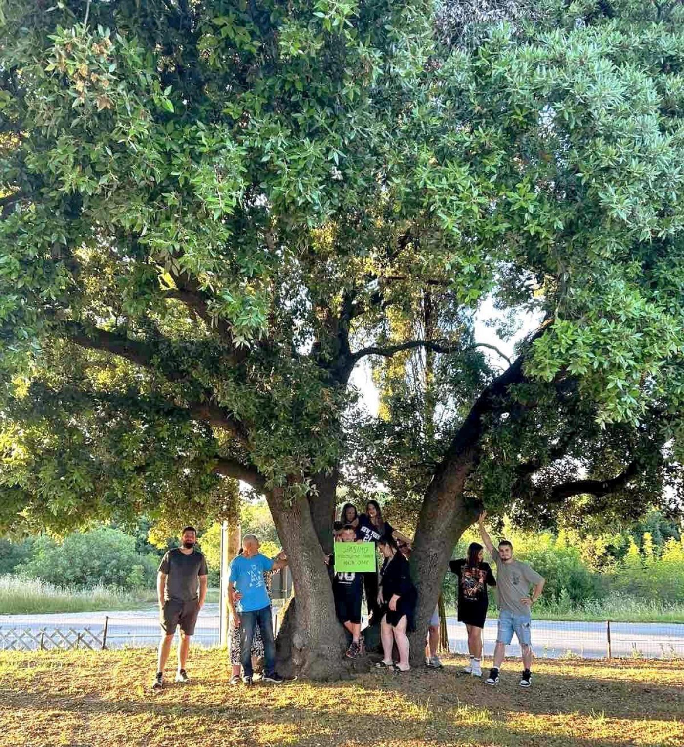 Mještani Sv. Martina i Zelena Istra ujedinili se za spas 200-godišnjeg hrasta: podršku dale Općina Vrsar-Orsera i Natura Histrica