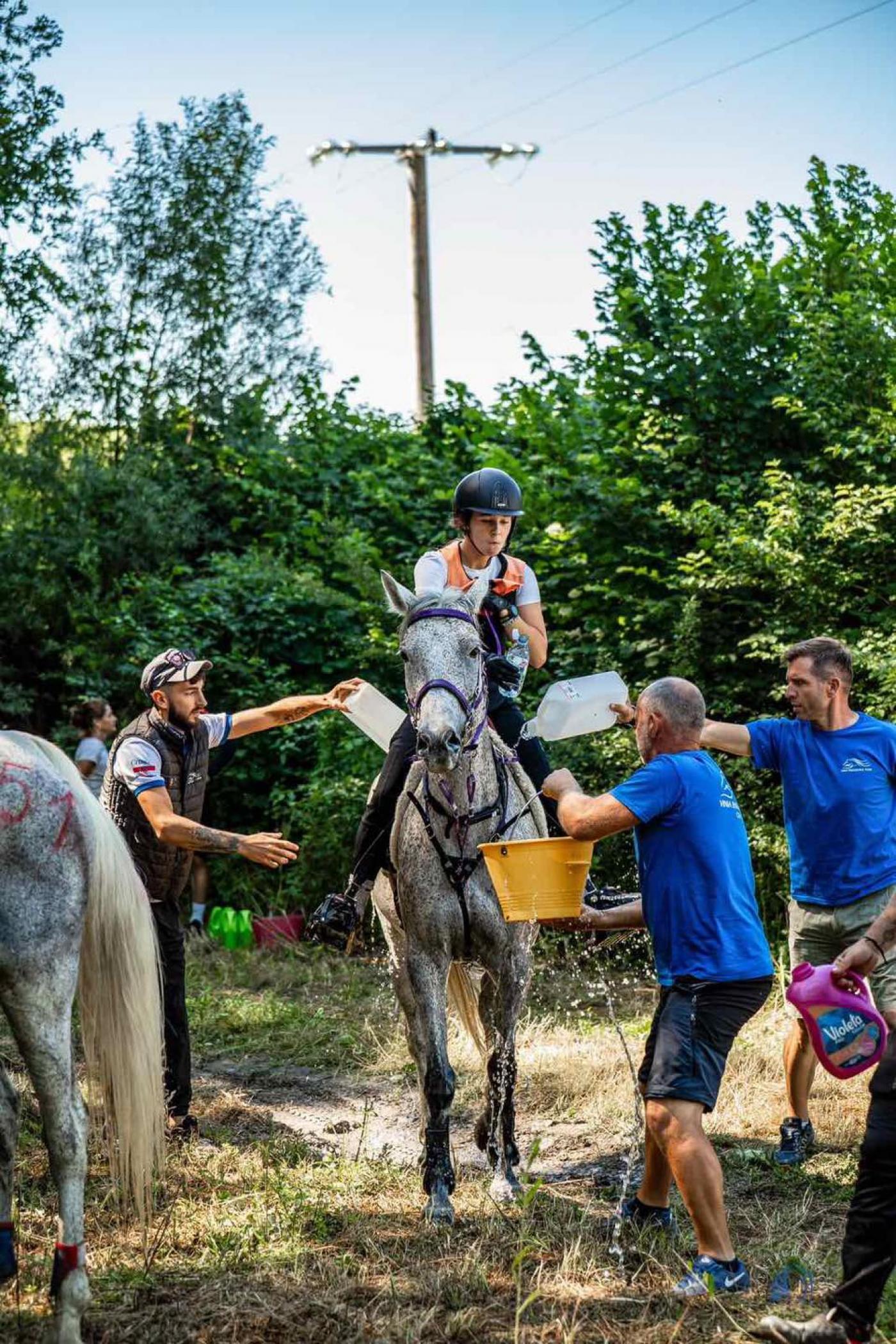 Enya Berljavac iz Tara državna prvakinja Hrvatske u daljinskom jahanju