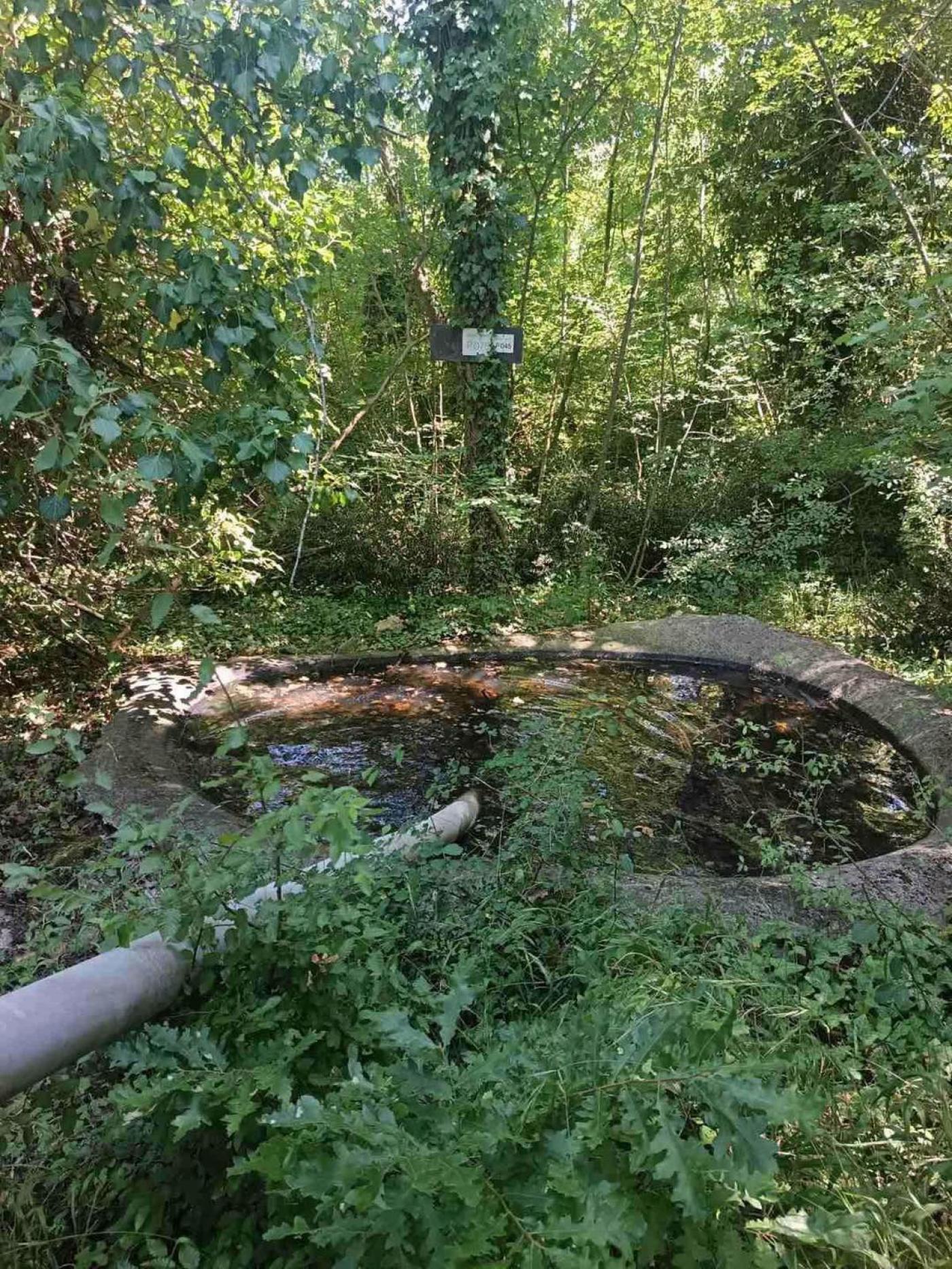 POREČ: Pune se prirodna pojilišta za divlje životinje