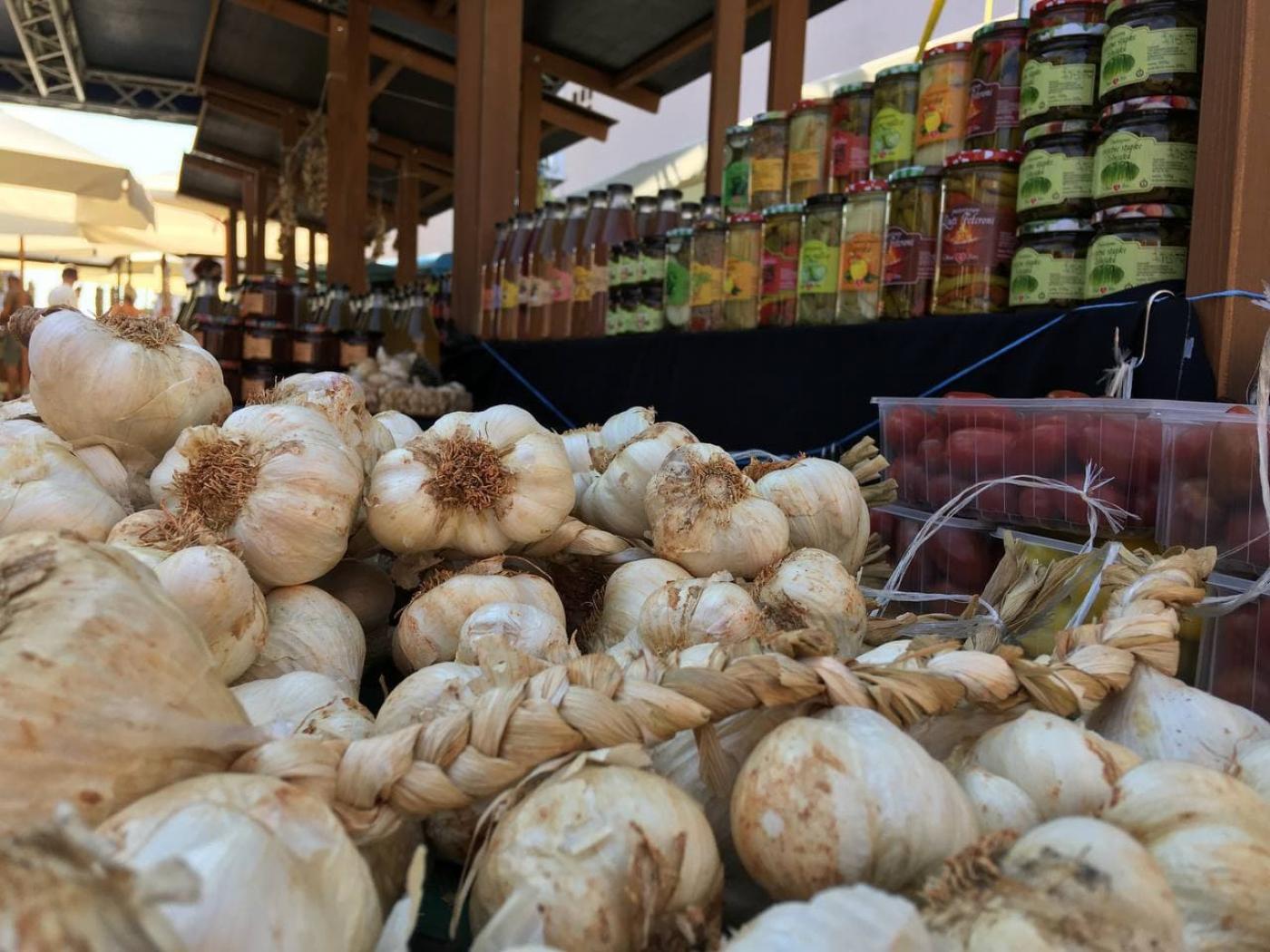 Poreč domaćin sedmog Festivala istarskog češnjaka