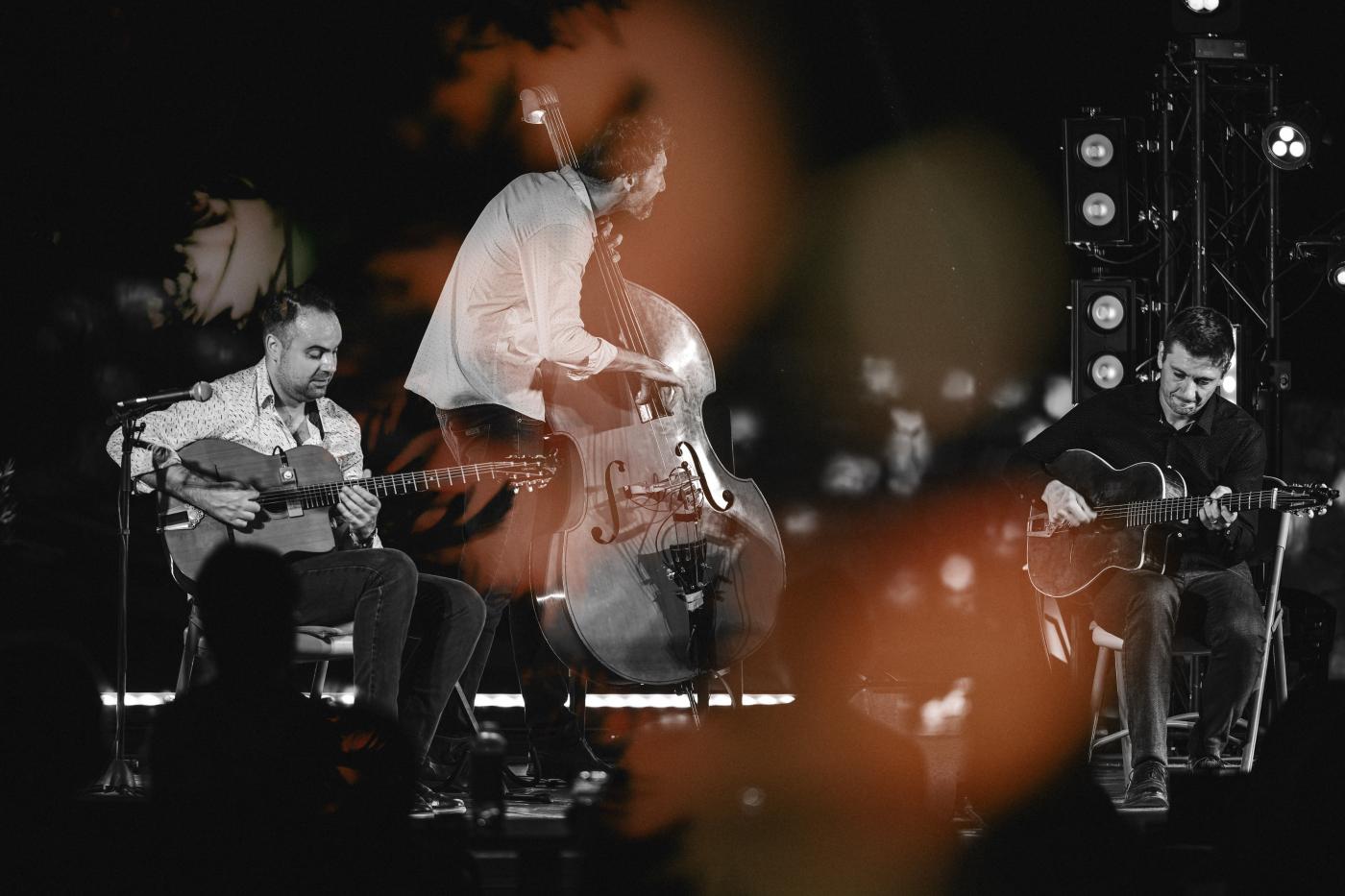 Od ribarskih fešti i festivala češnjaka do jazza i opere – Porečko ljeto ulazi u novi tjedan