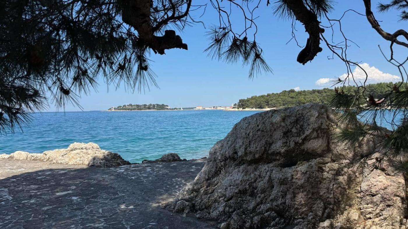 Kakvoća mora za kupanje na morskim plažama u Istarskoj županiji u 2026. godini - VII. uzorkovanje