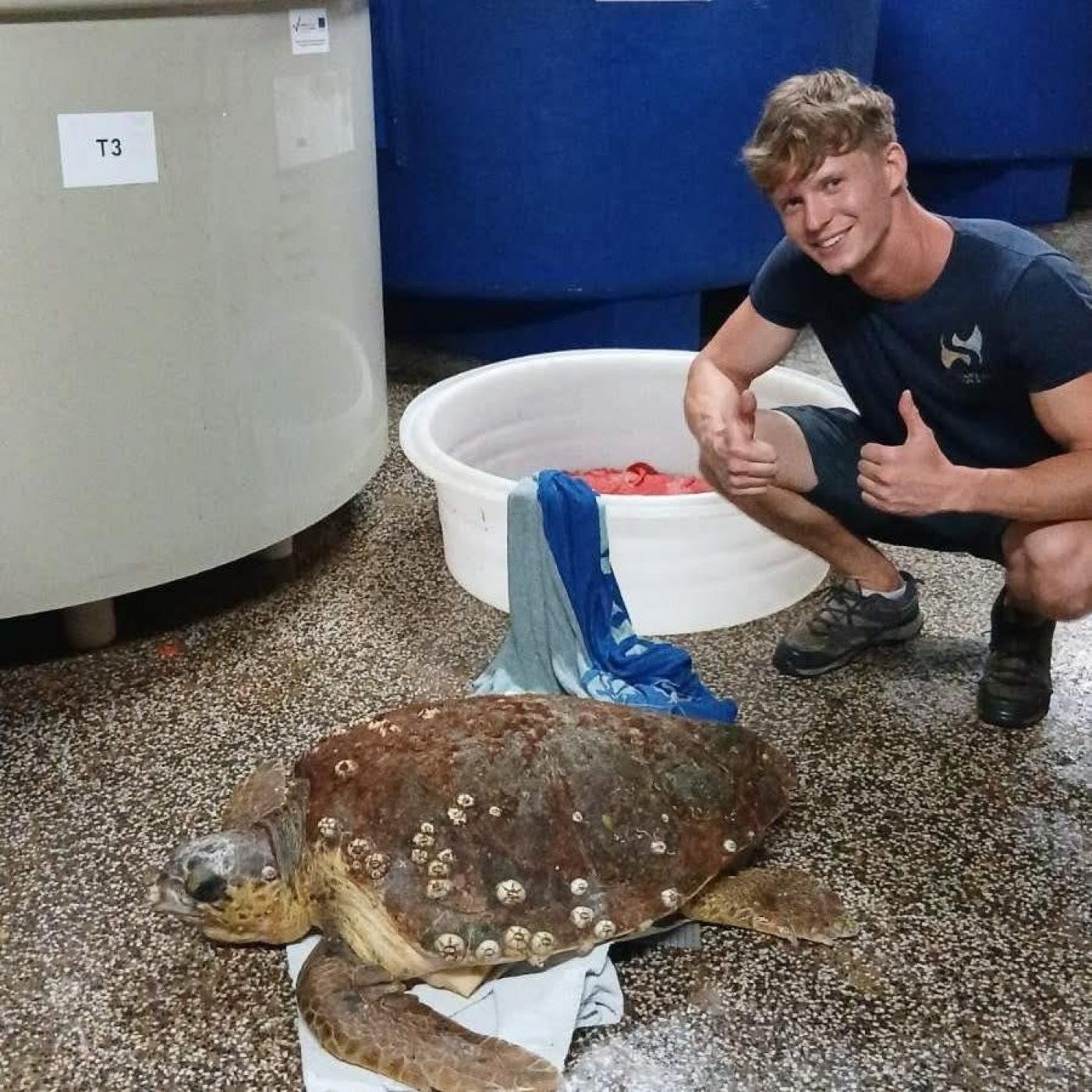 Kornjača Dina pronađena kraj Funtane s udicom u jednjaku stigla u Oporavilište Aquariuma Pula
