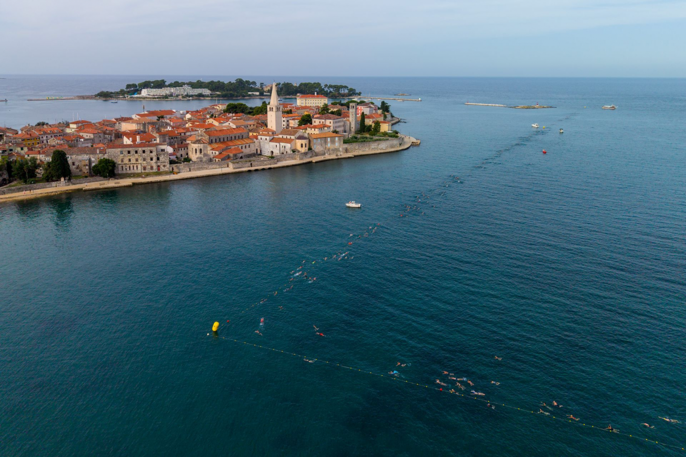 Porečki delfin proslavio 25. rođendan: zaplivalo više od 1700 sudionika iz 30 zemalja